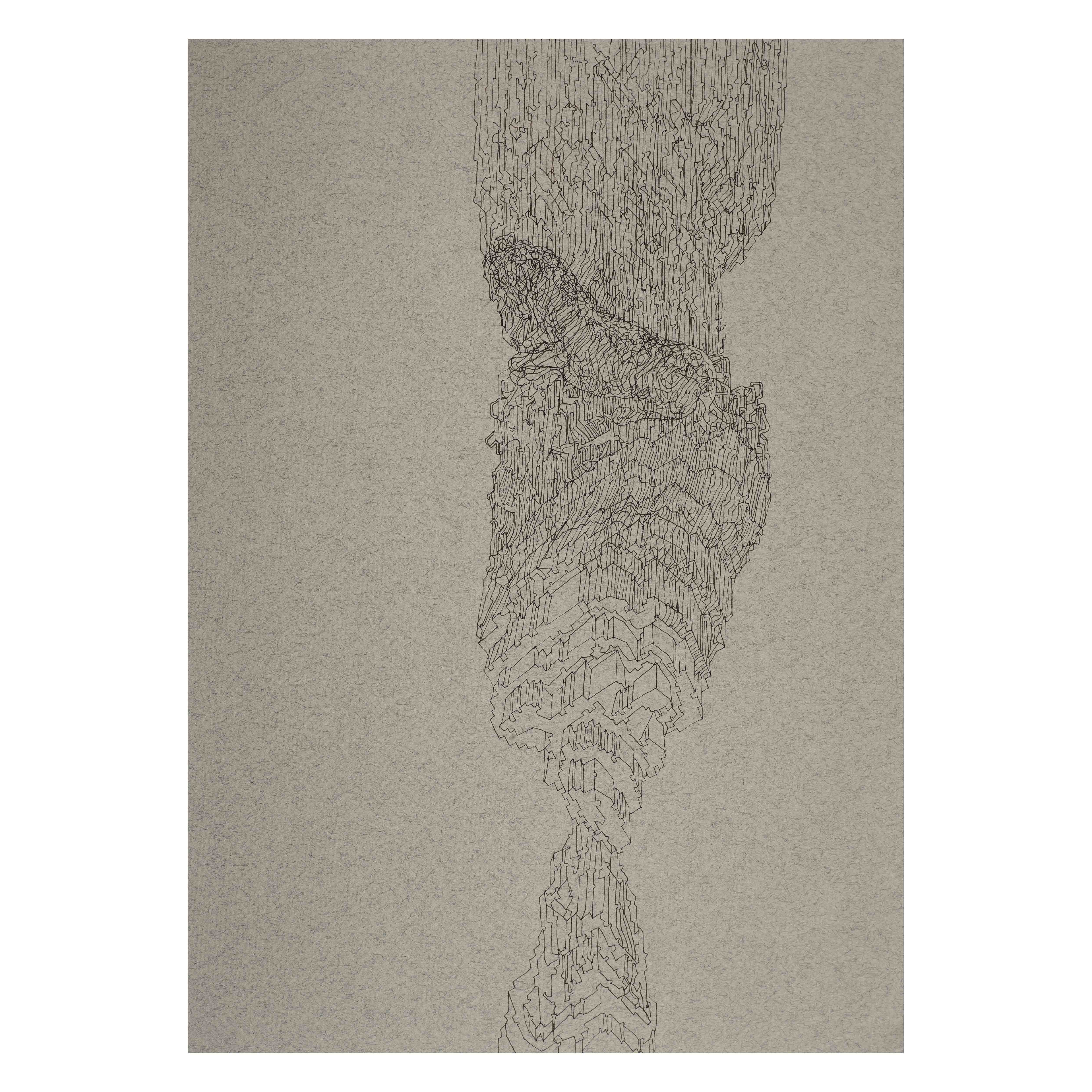 Seeing is done by another part of the body