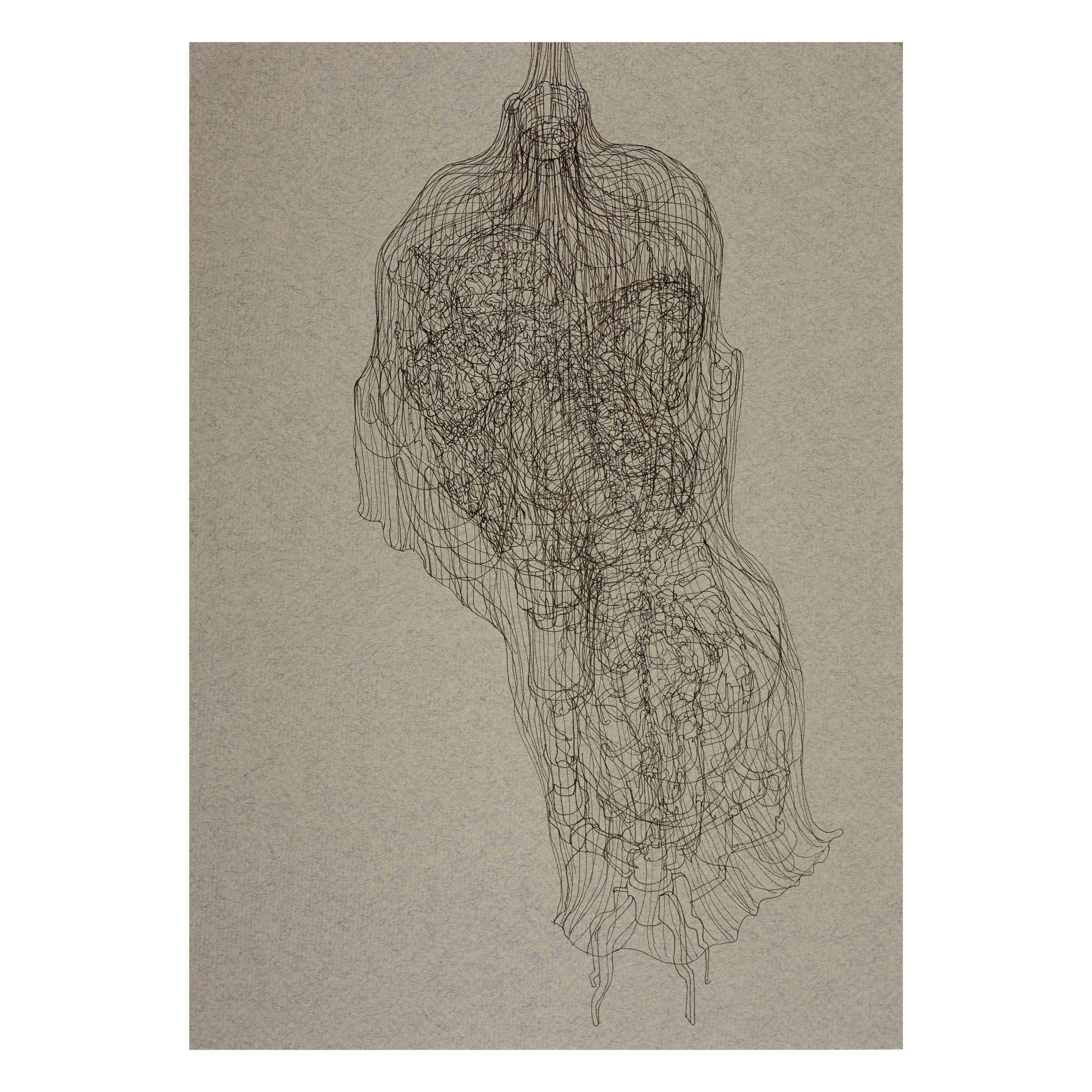 Seeing is done by another part of the body