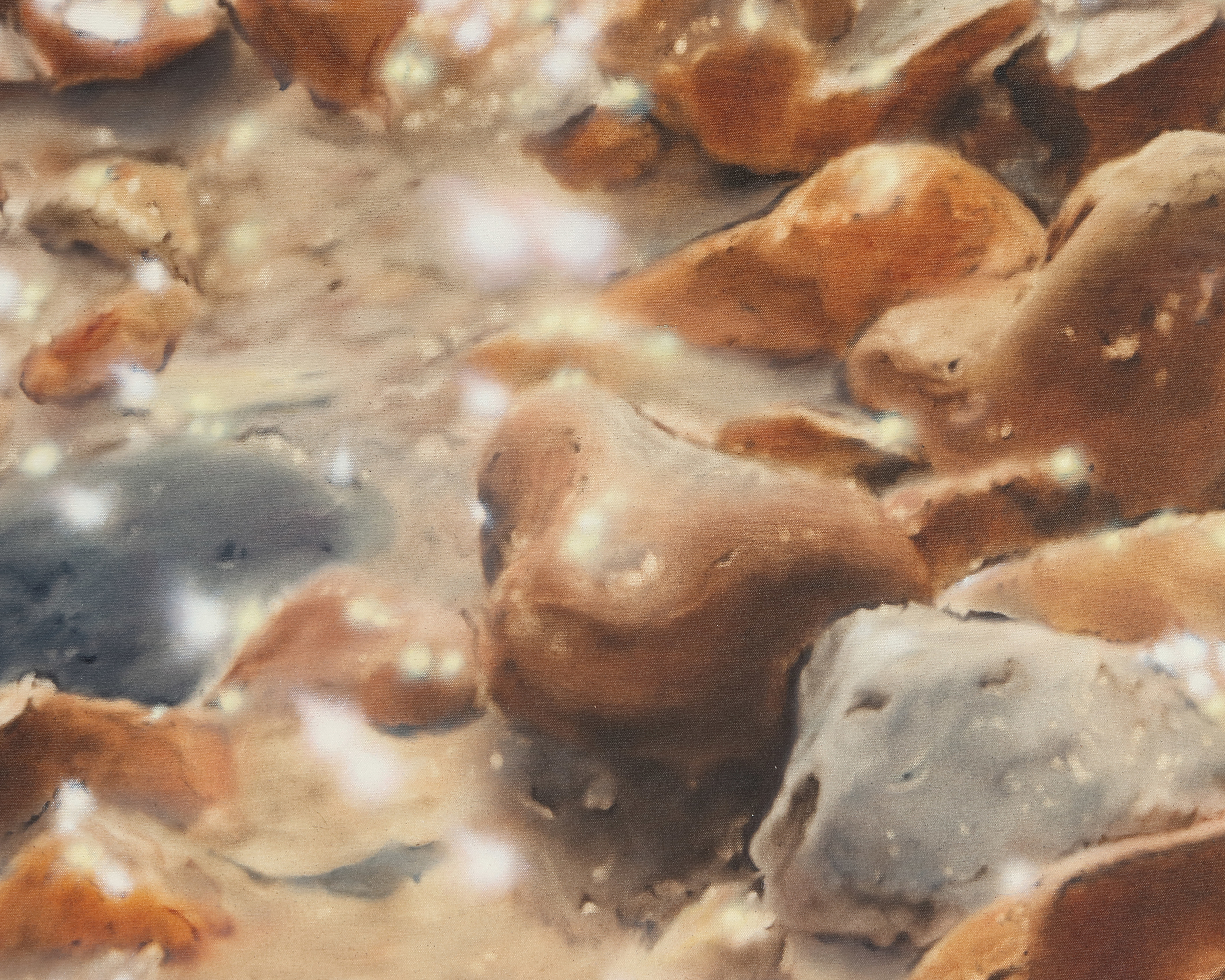 Constellation in the Sand