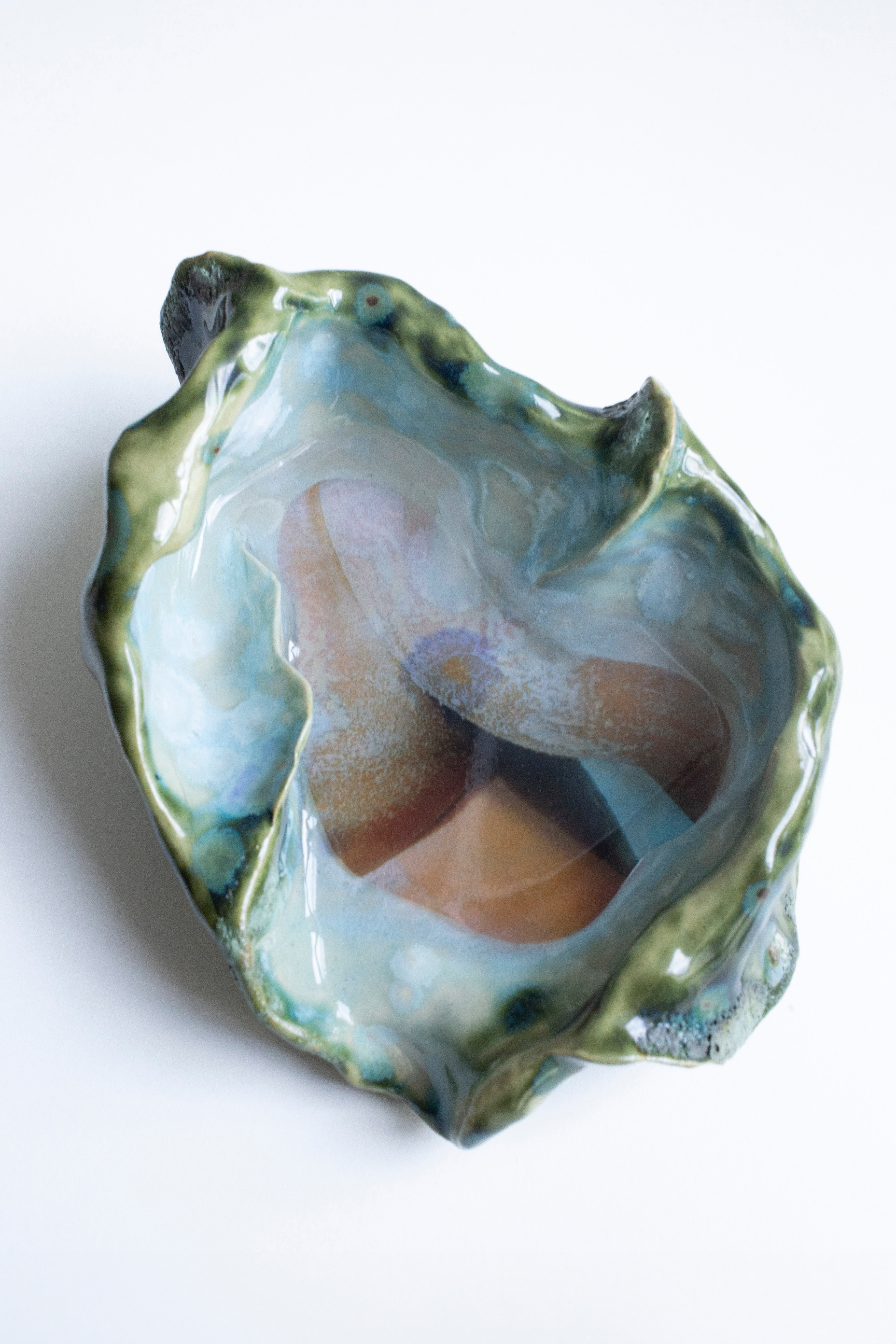 Sleepy in a shell n°7