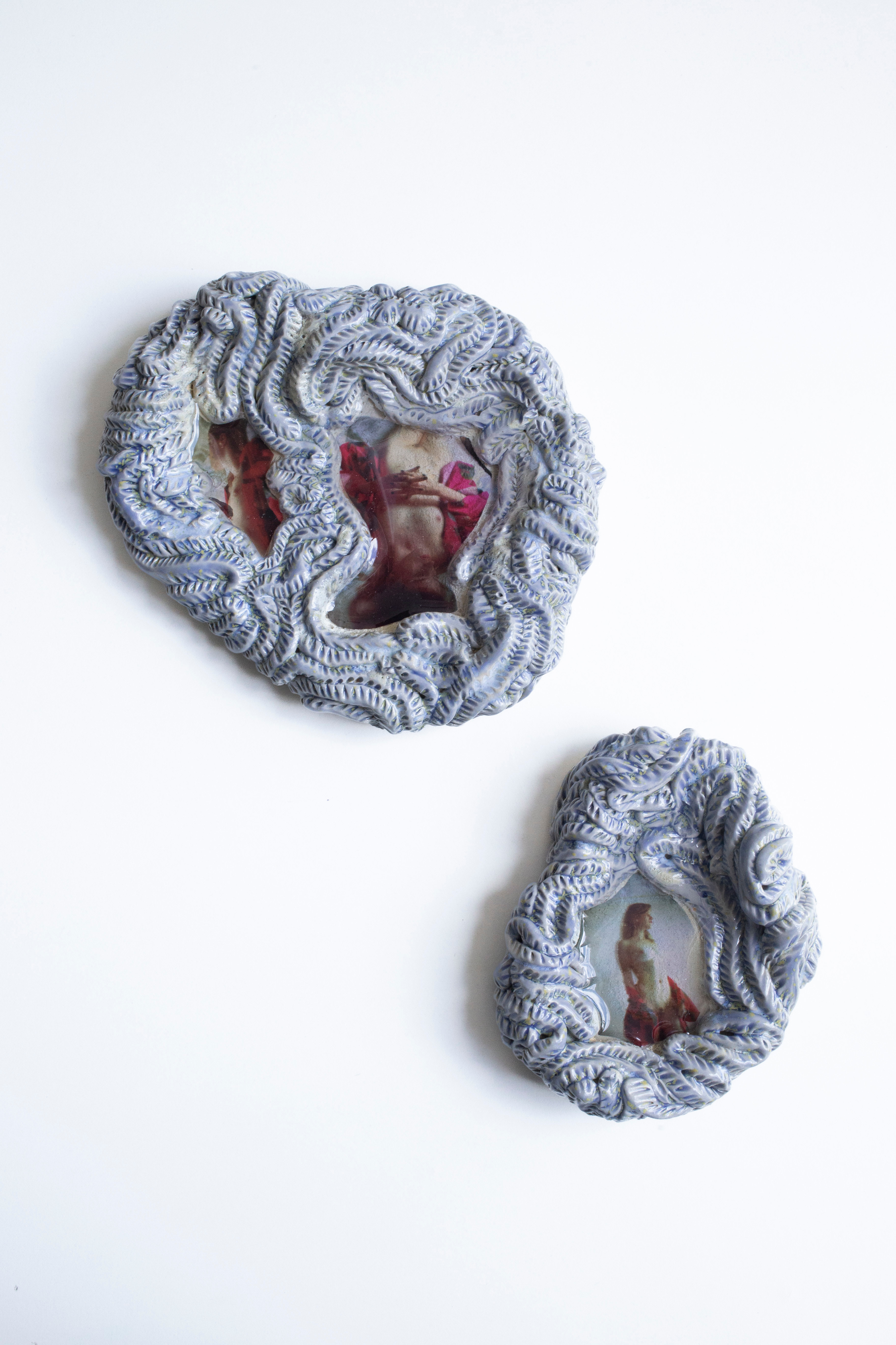 Sleepy in a shell n°5