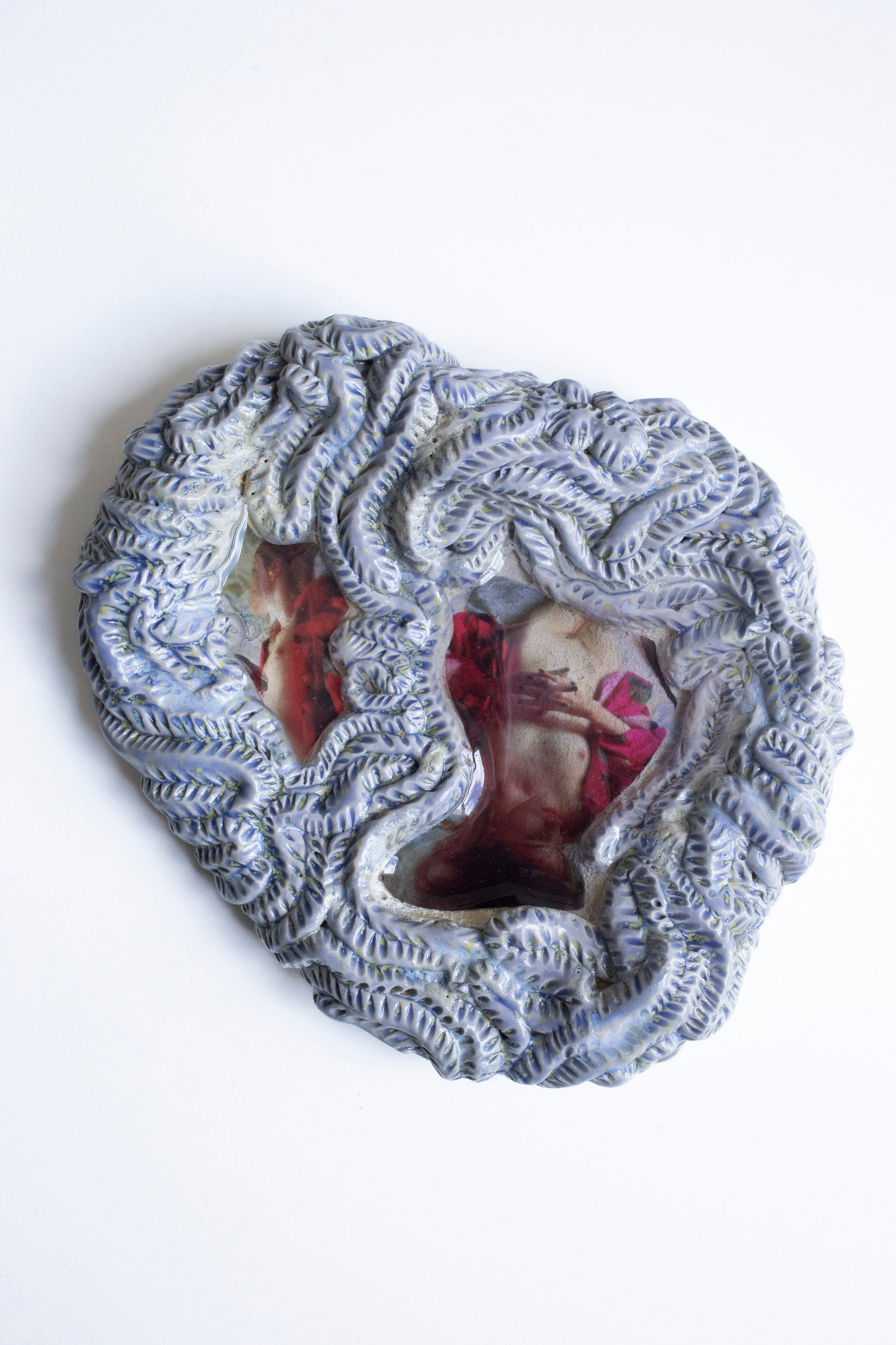 Sleepy in a shell n°5