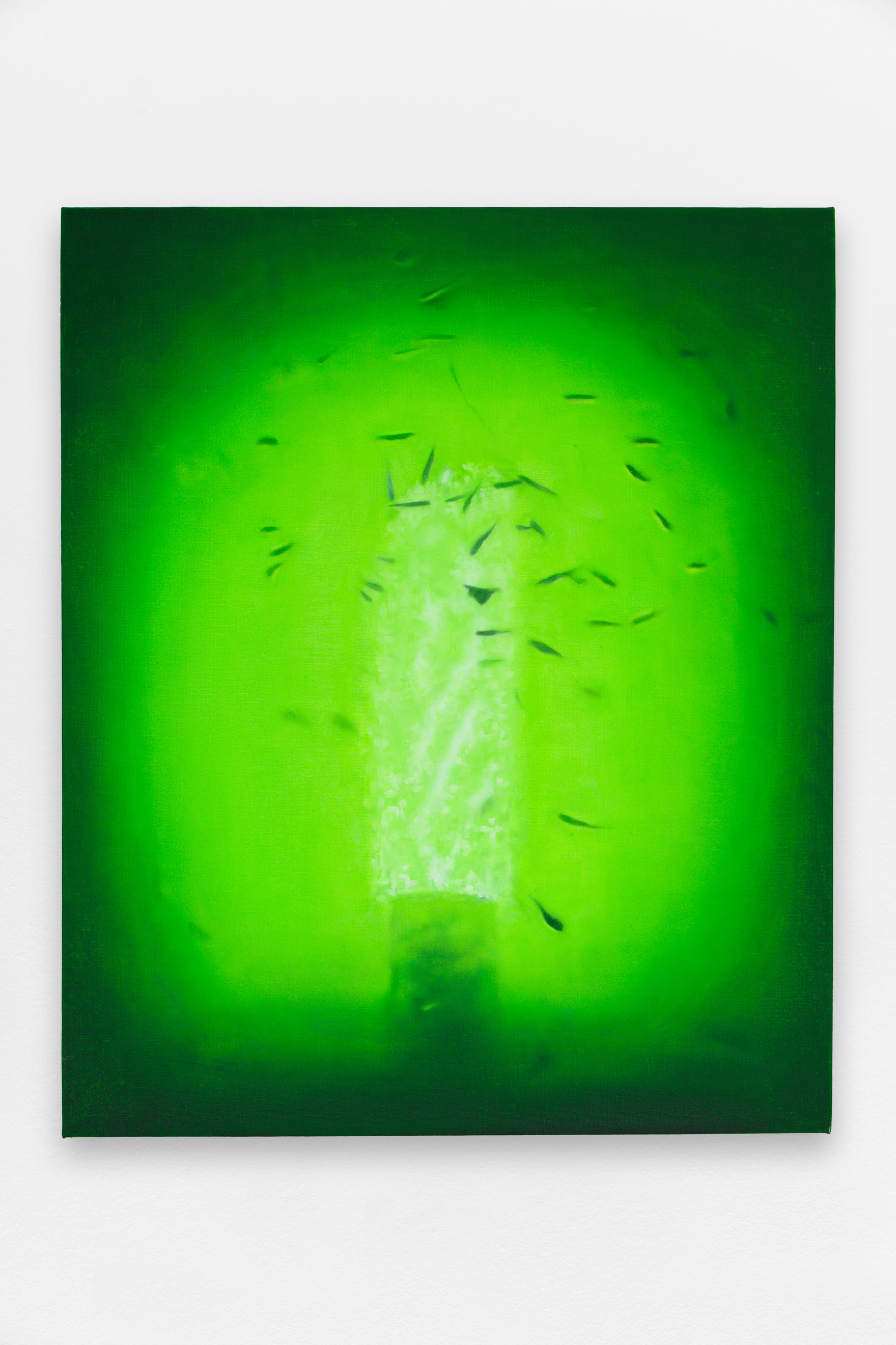 Bottomfeeder (Piriwiri)