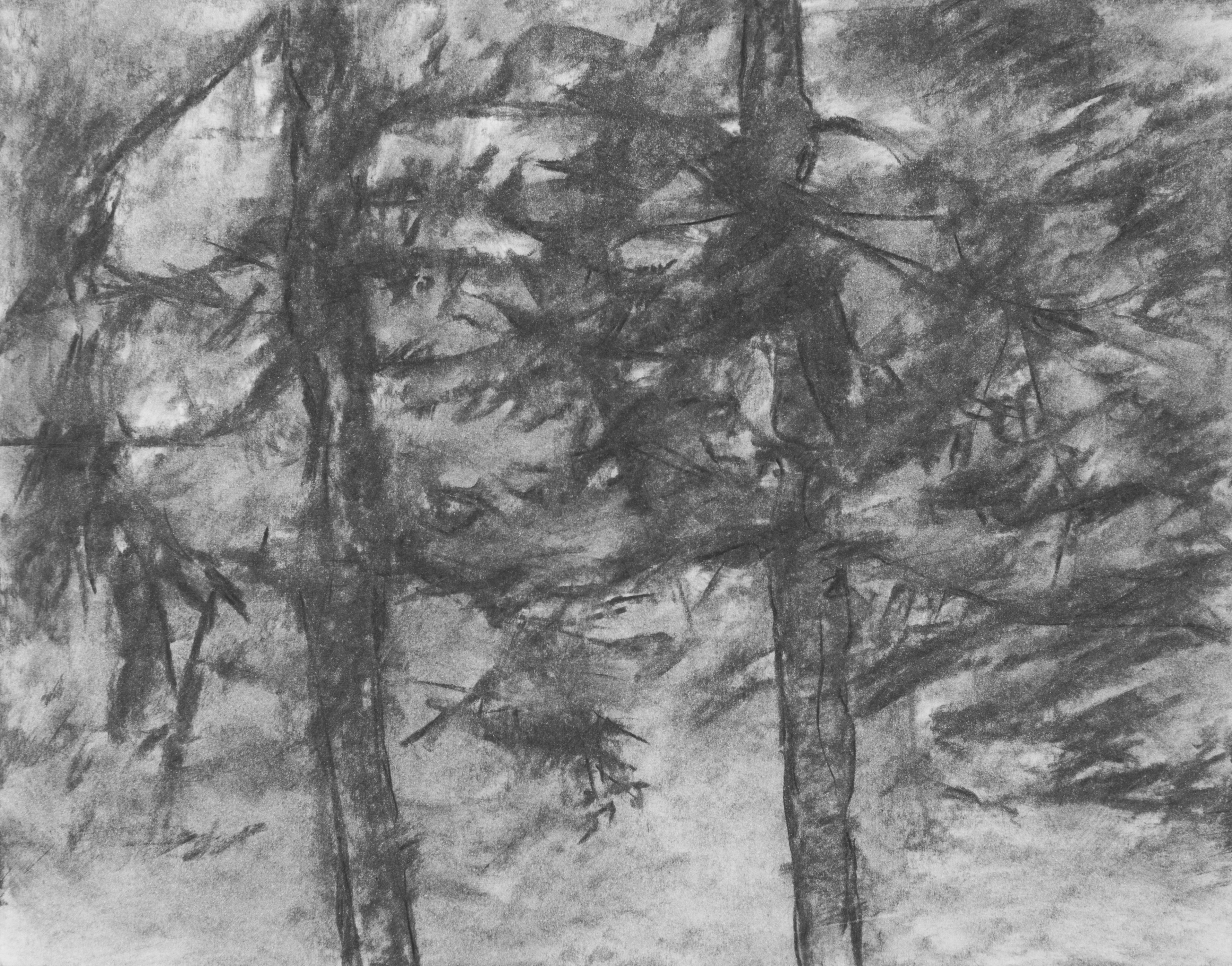 Untitled (South Tyrol, March )