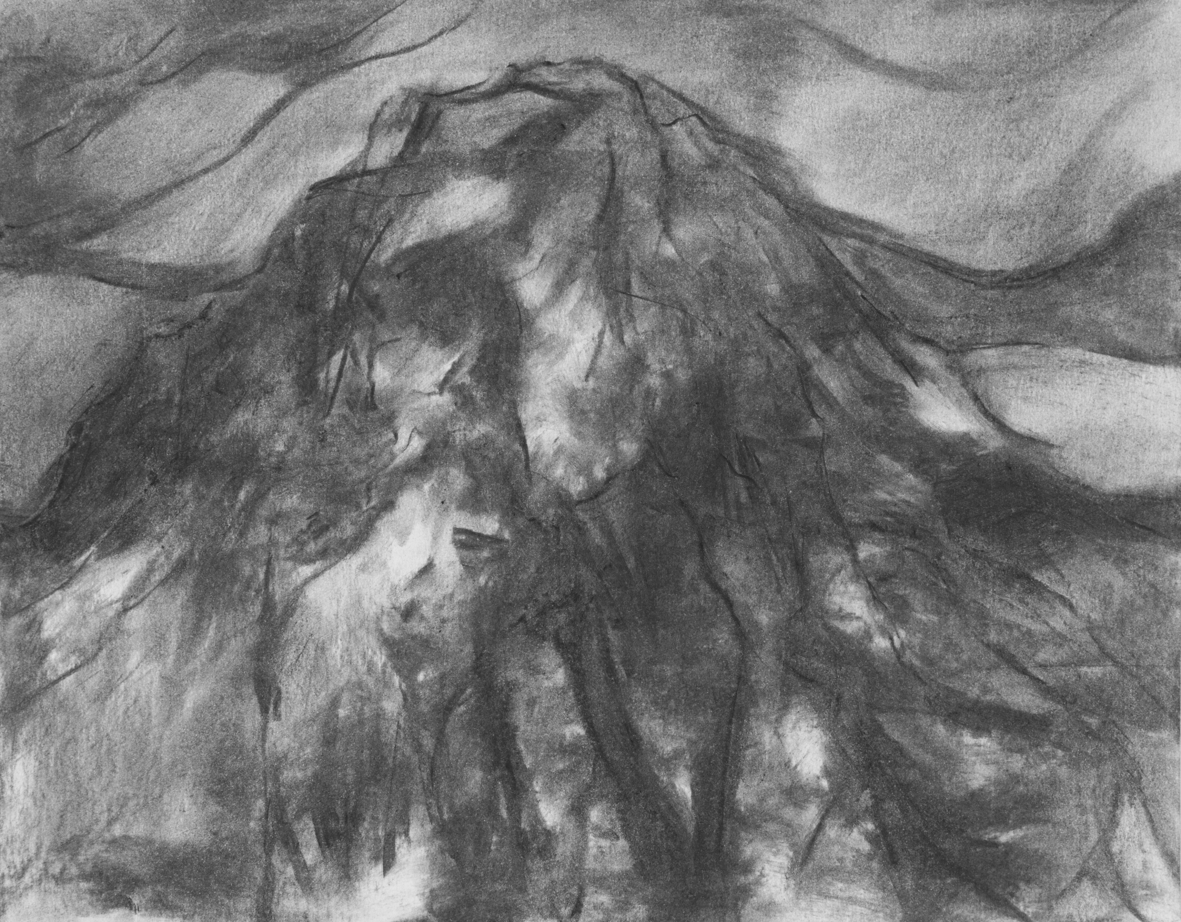 Untitled (South Tyrol, March )