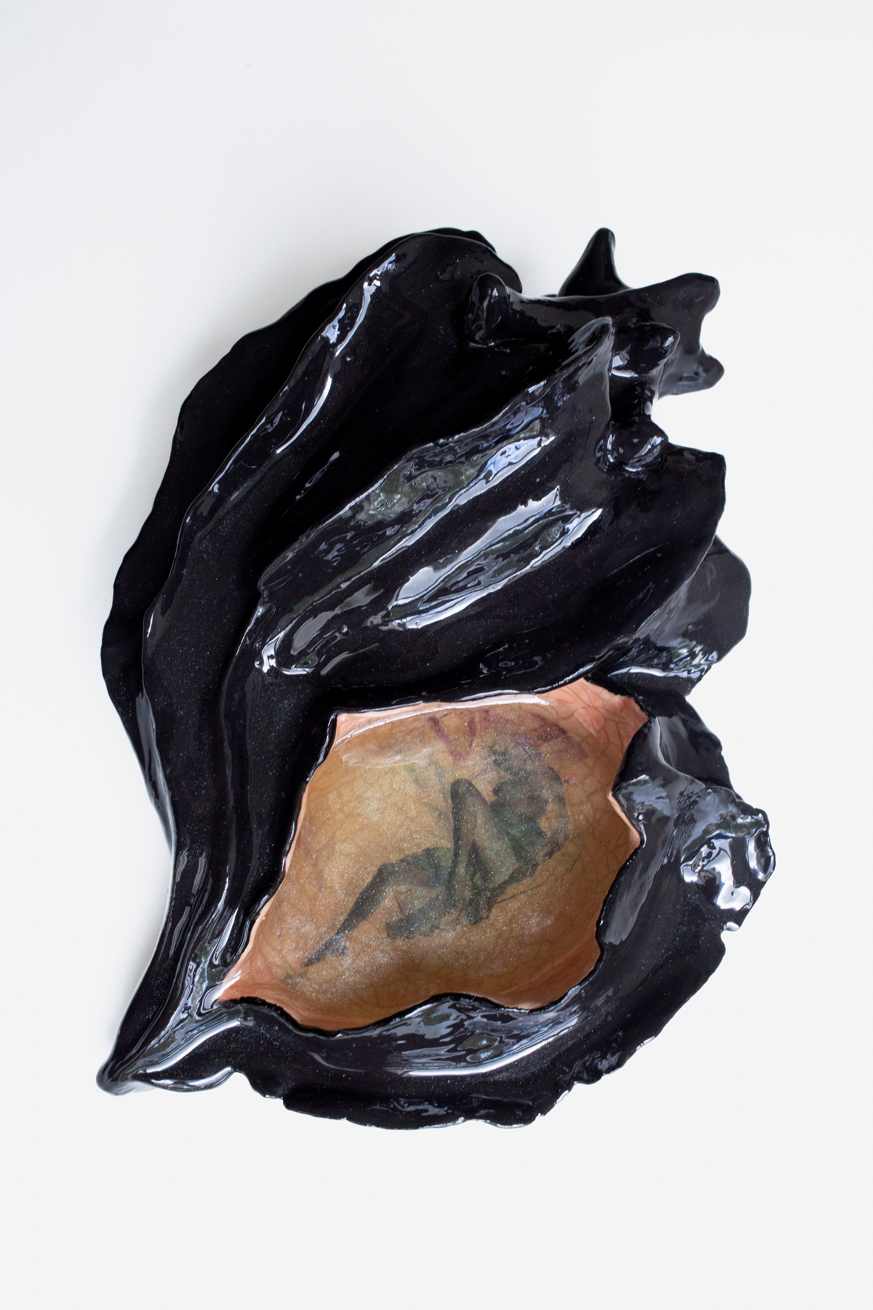 Sleepy in a shell n°6