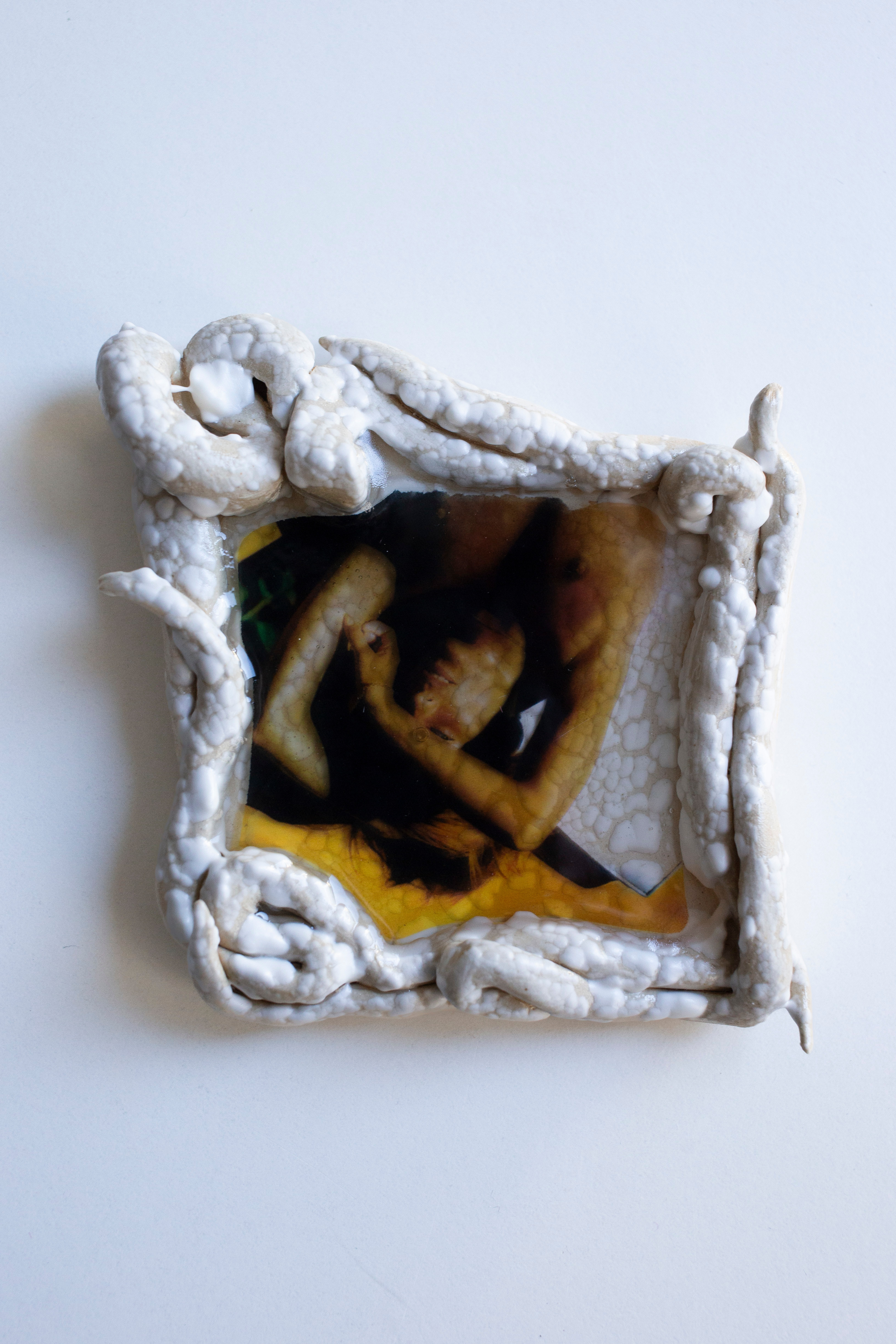 Sleepy in a shell n°8