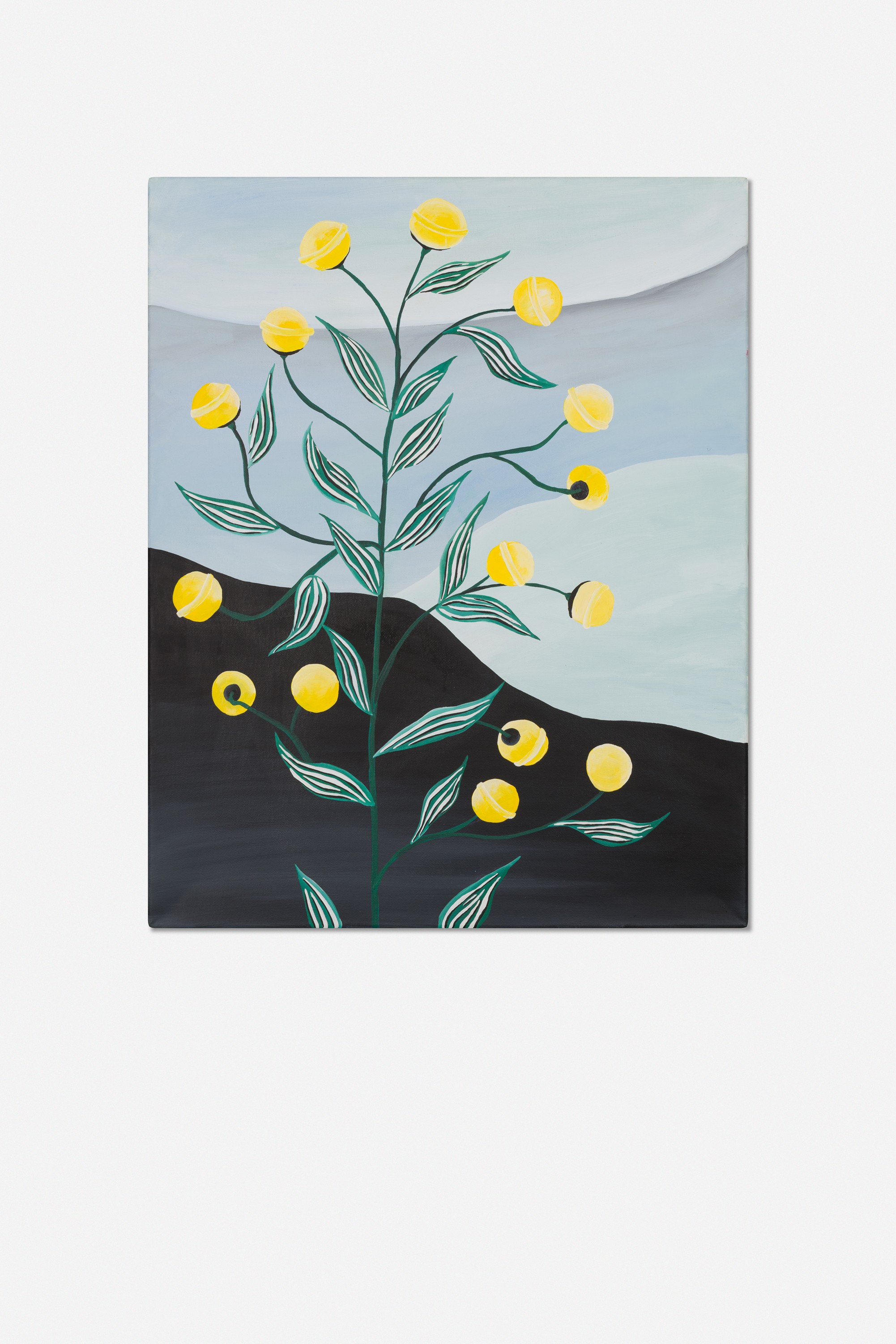 lollipop flower