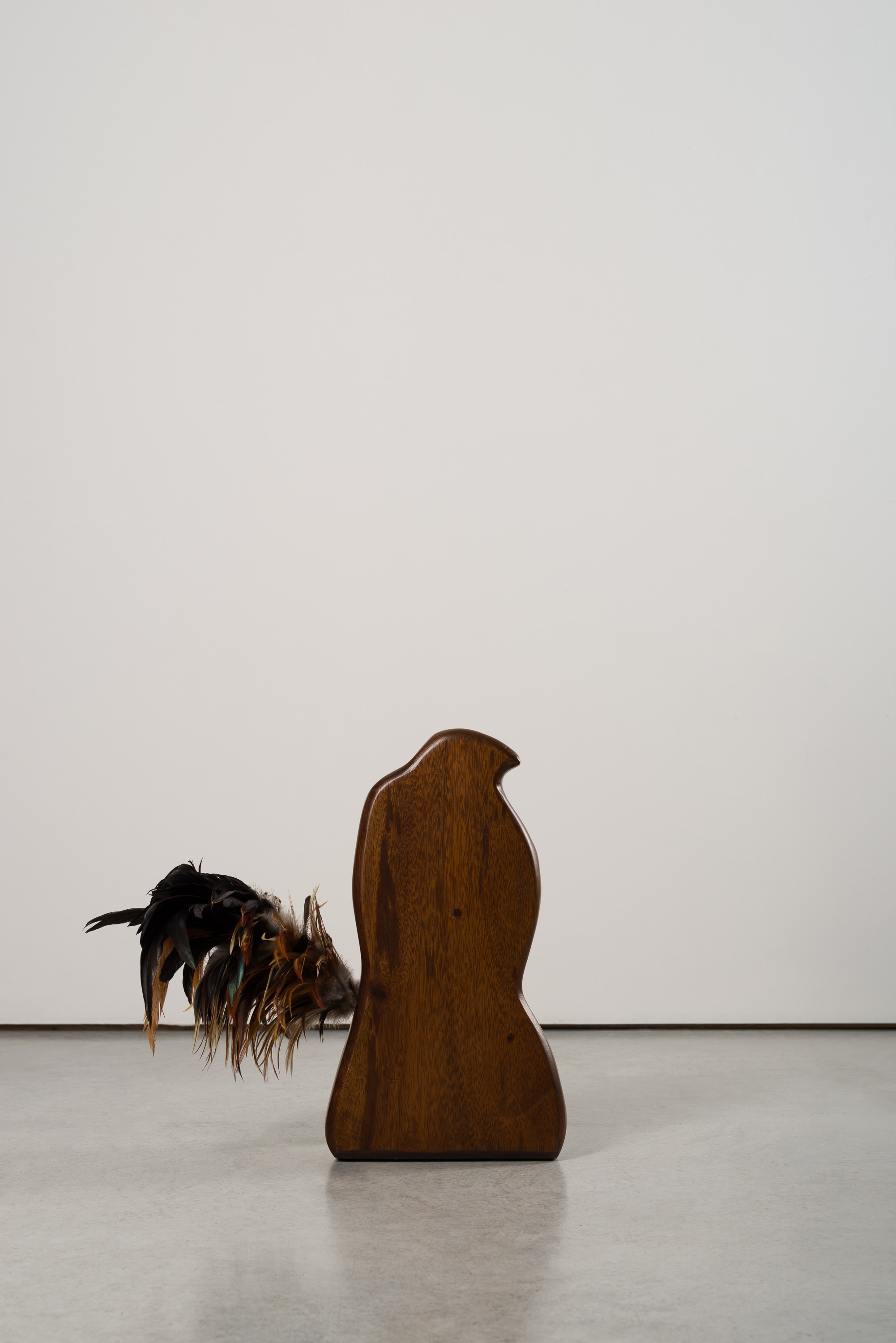Chicken Shadow 1