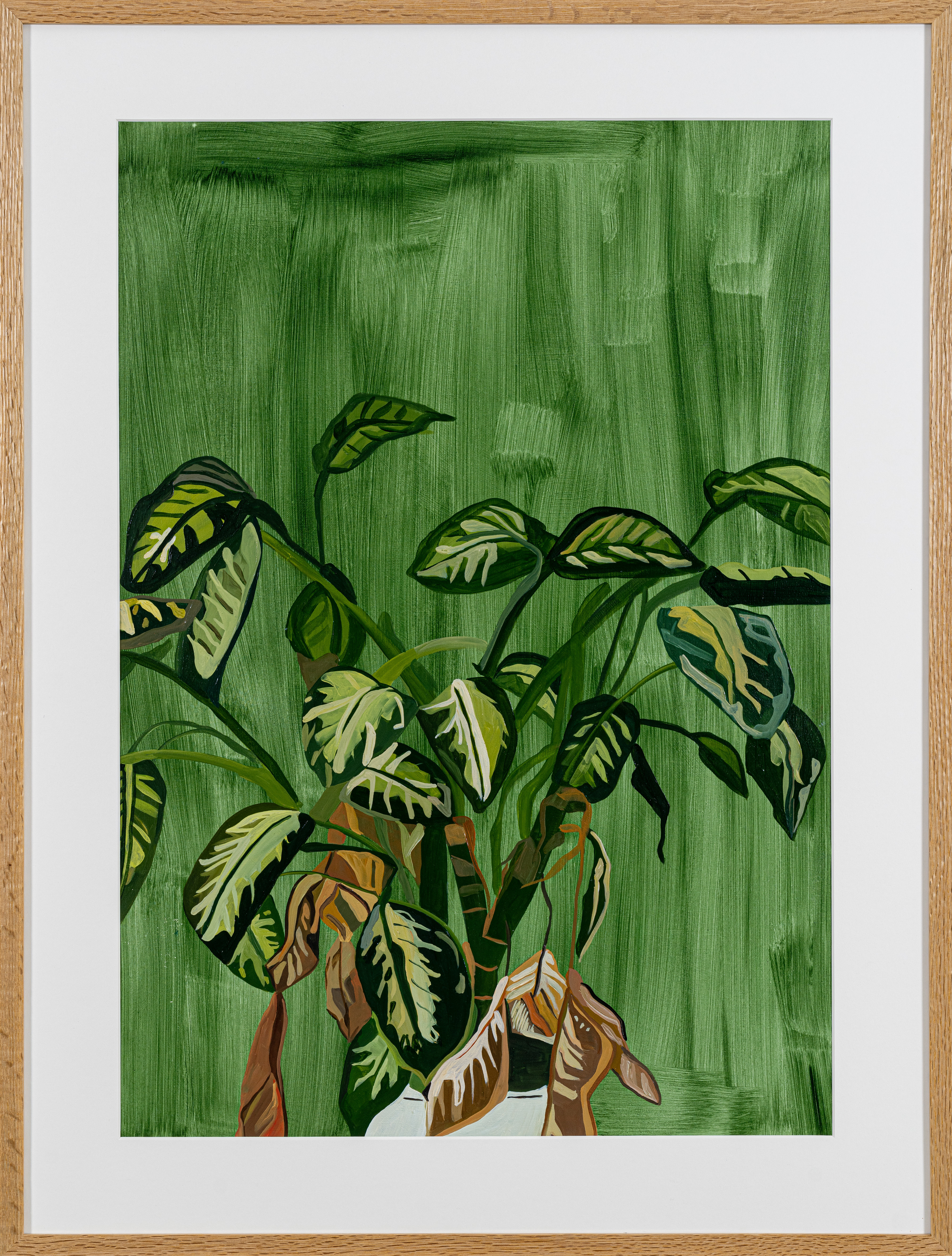 Tropic Snow 1
