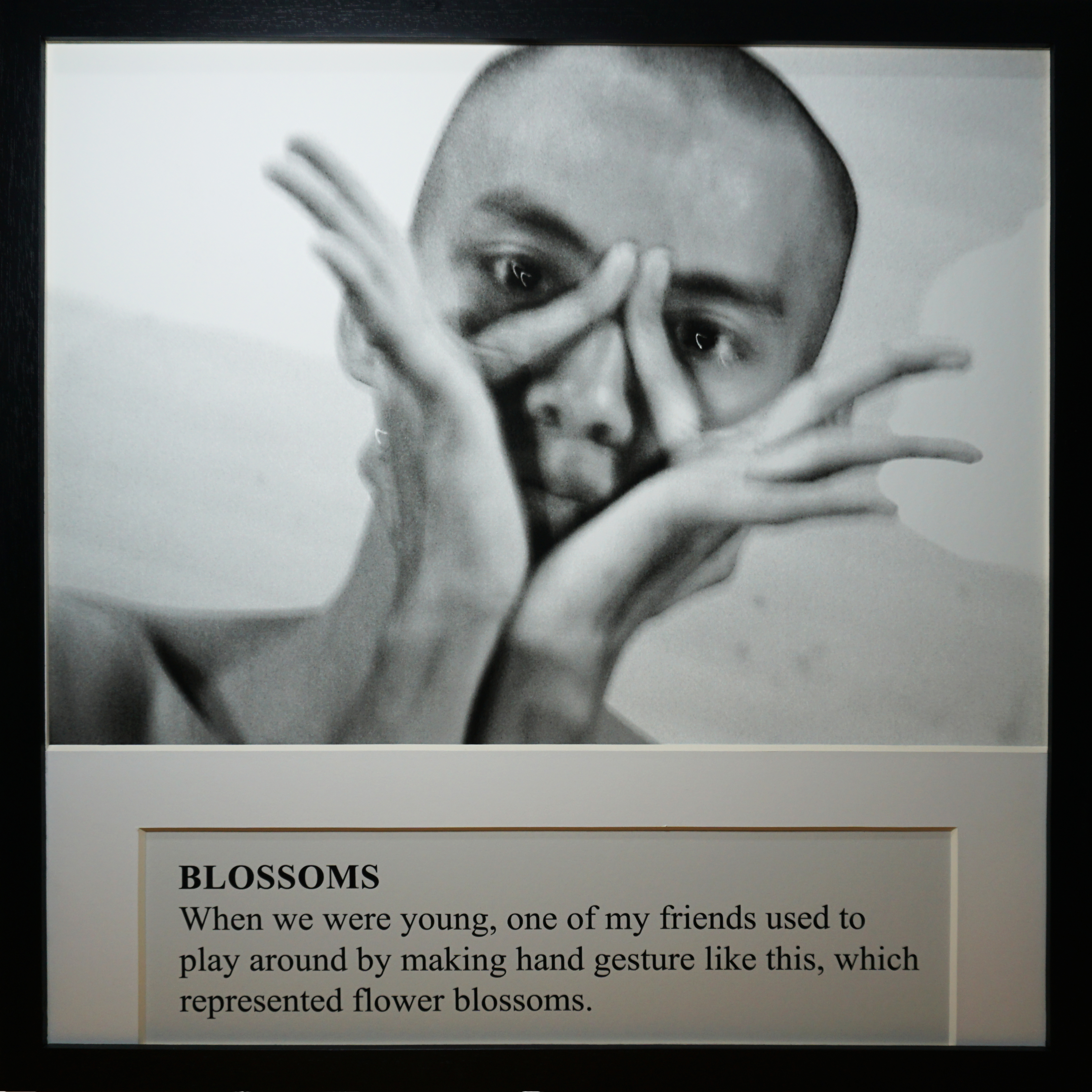 F n` F ( Face and Fingers) - BLOSSOMS