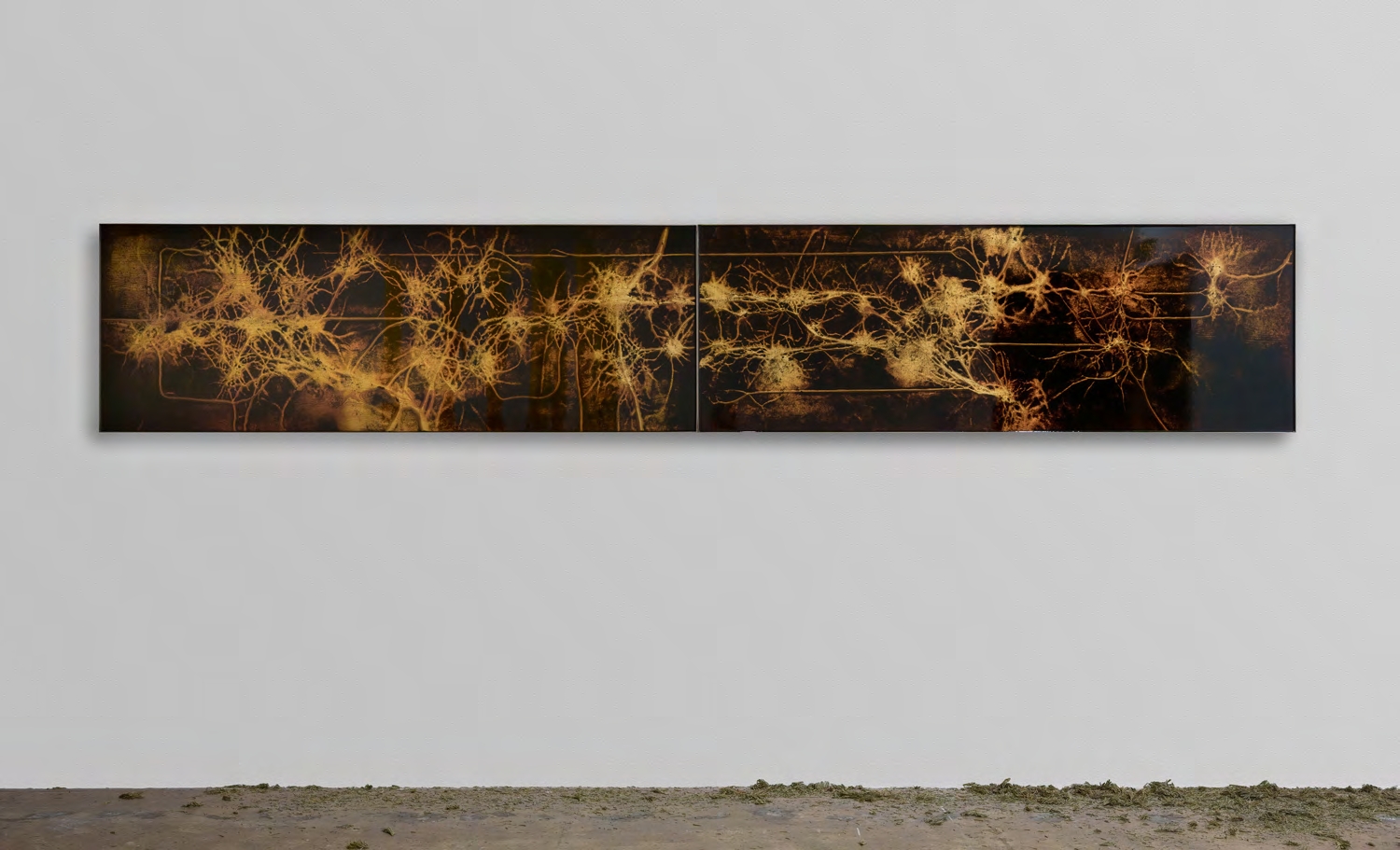 Untitled (diptych)