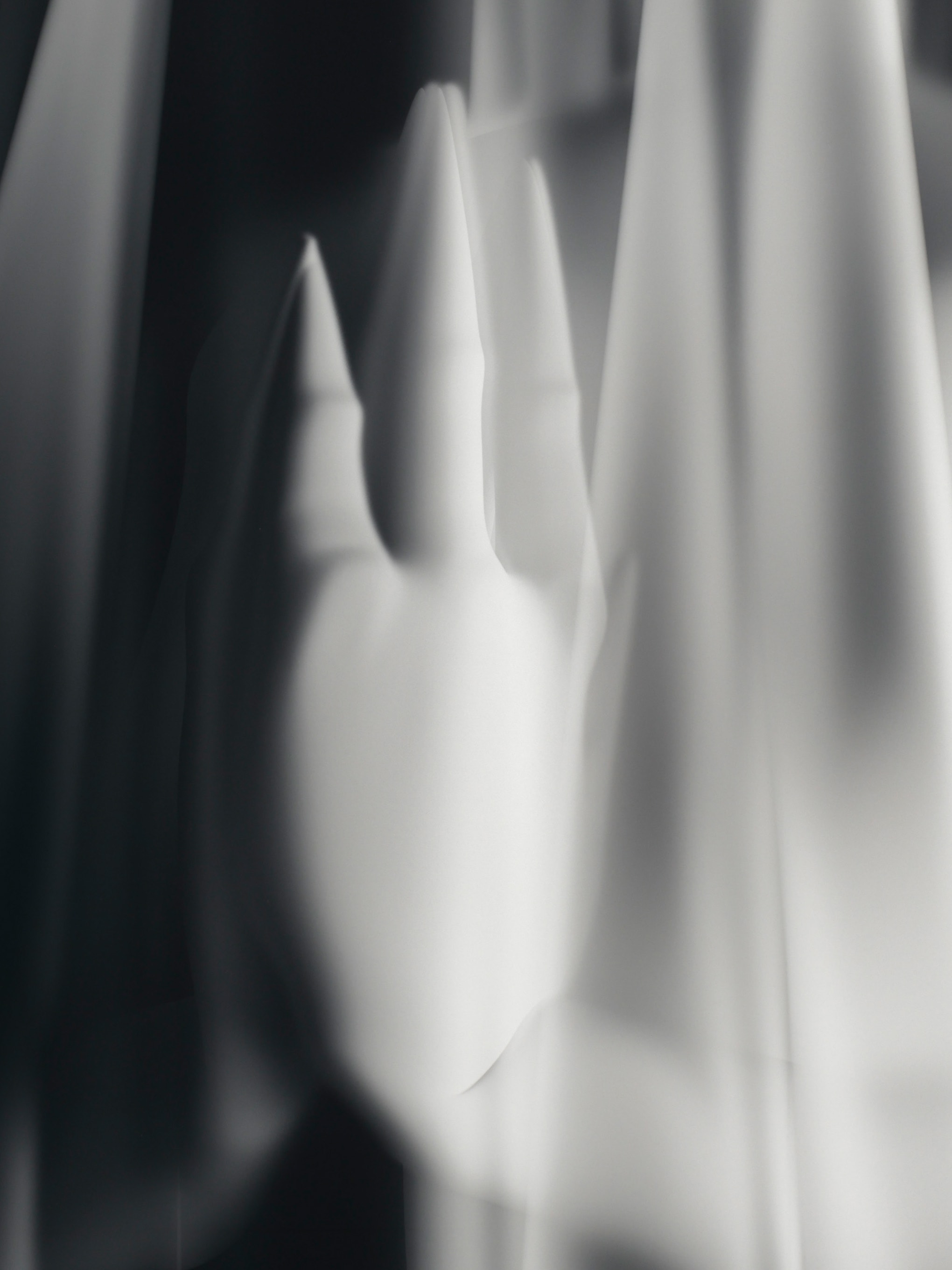 Shadow Joan