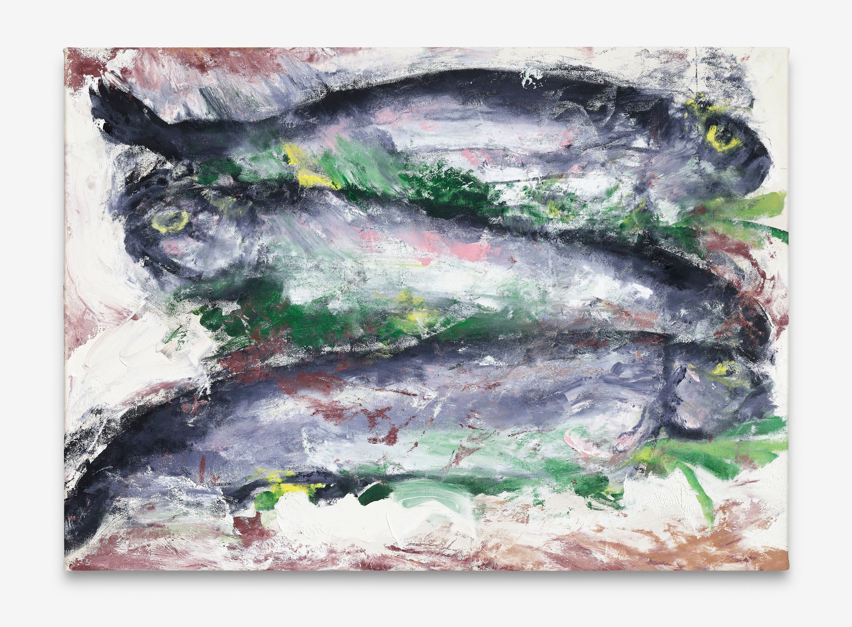 Rainbow Trouts