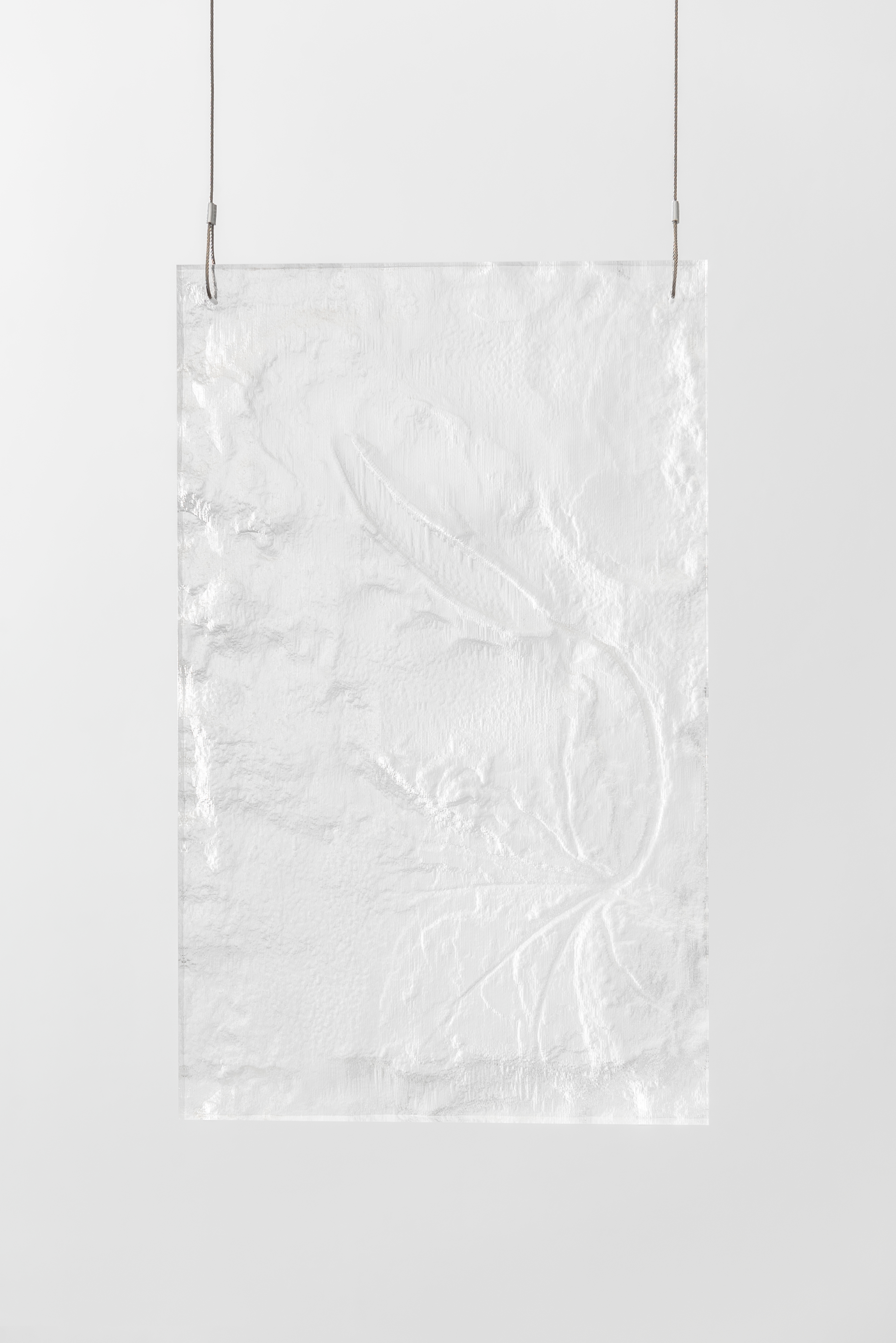 Plastifossil 2