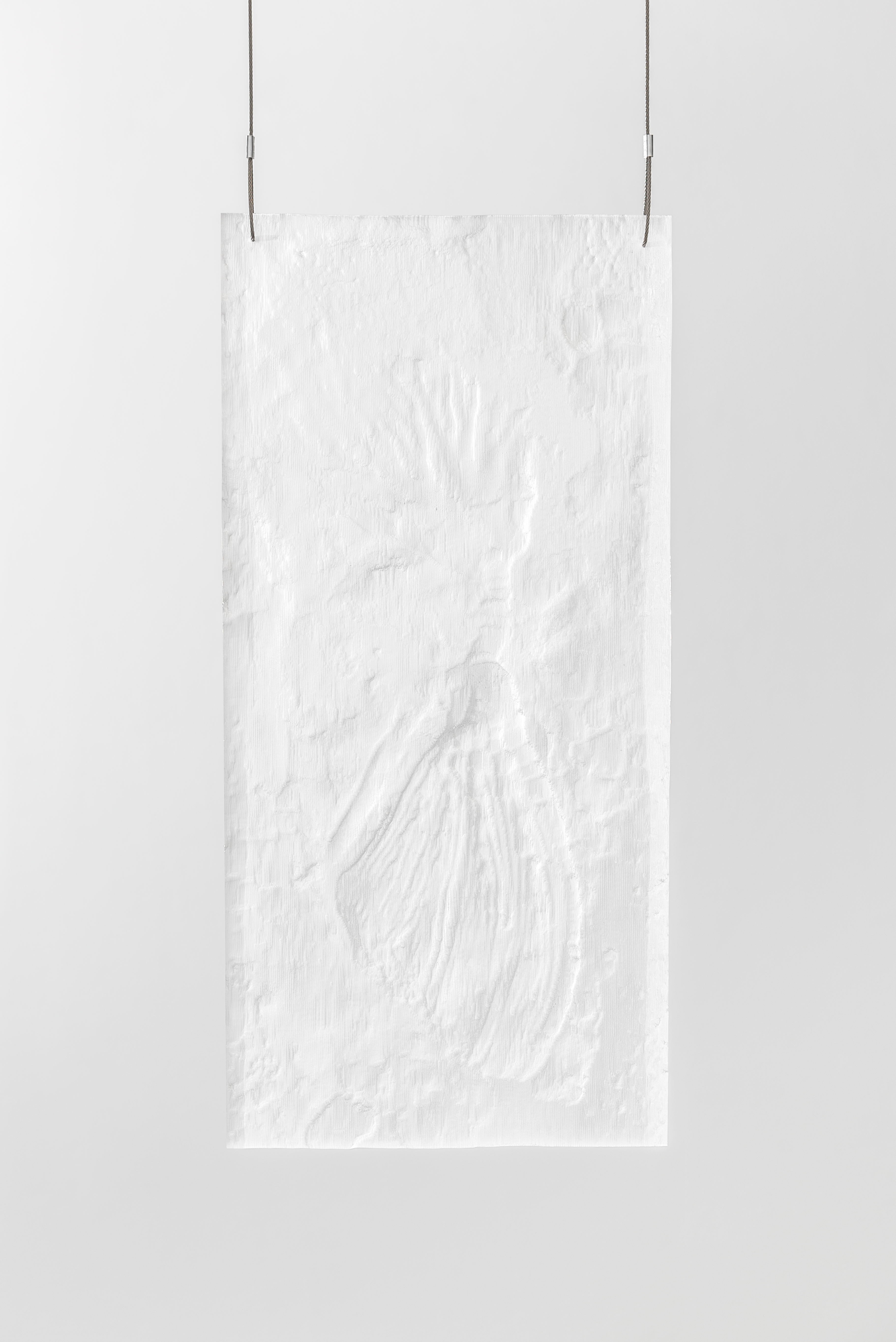 Plastifossil 3