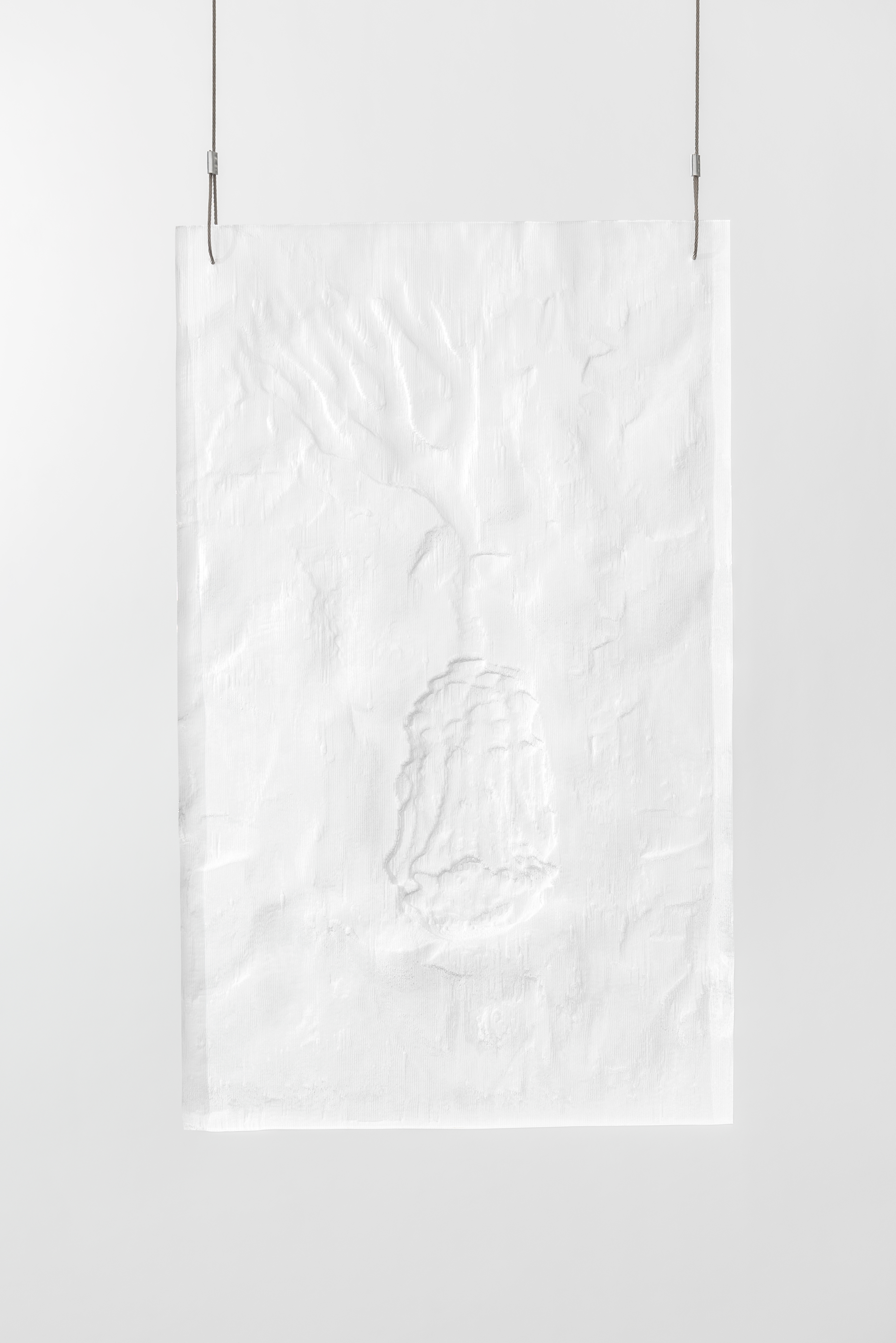 Plastifossil 4