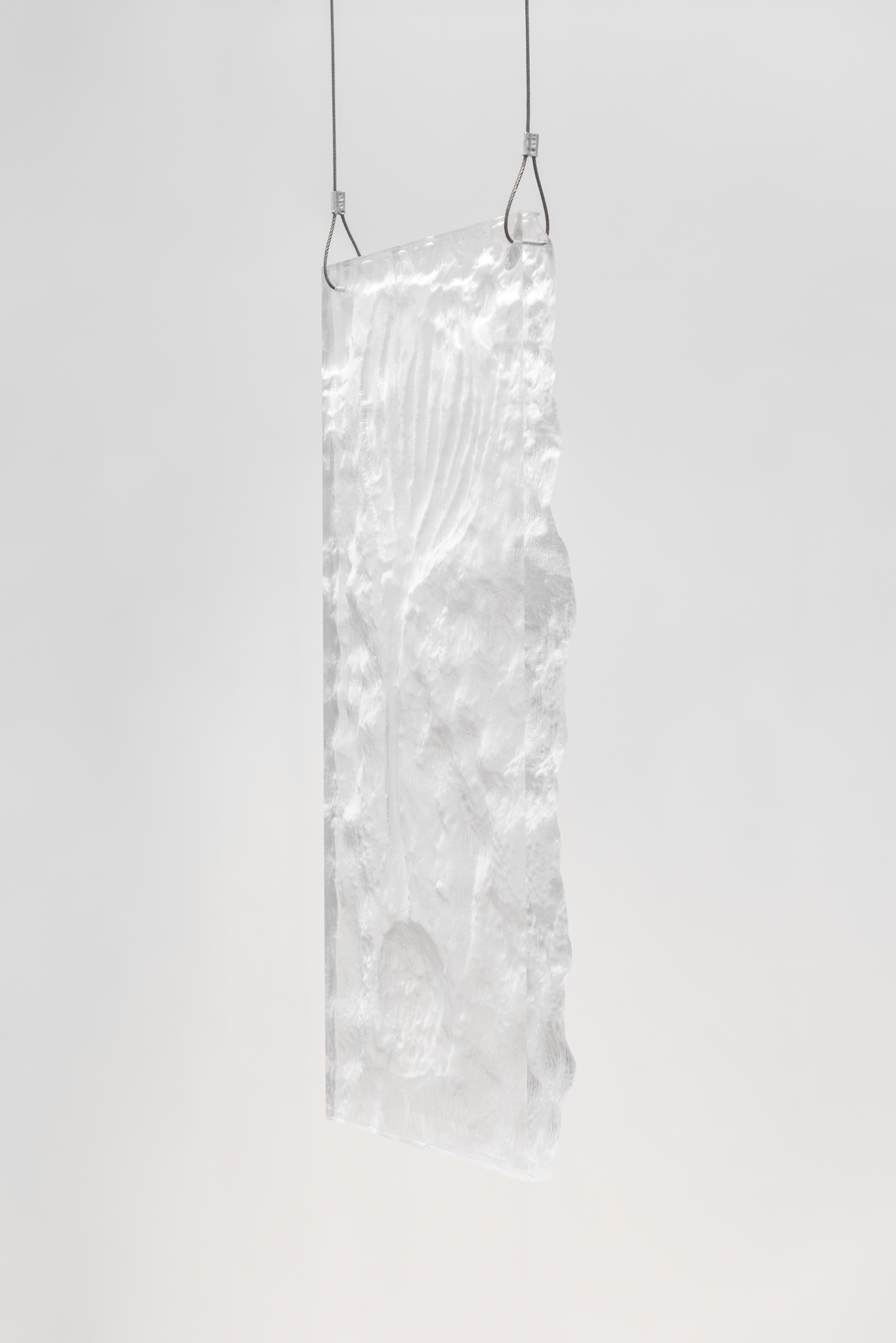 Plastifossil 5