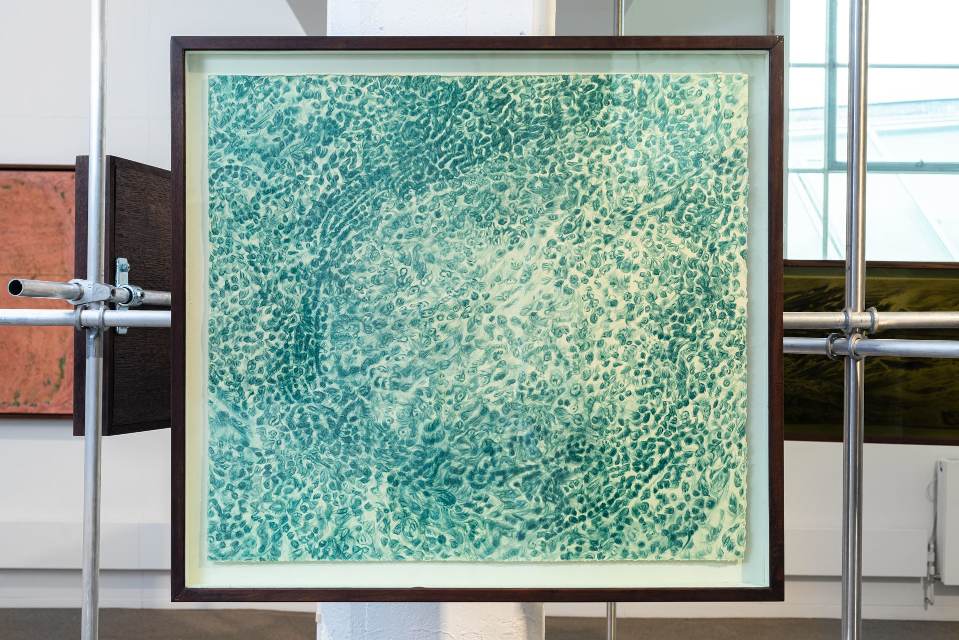 Pond (Lymphnode)