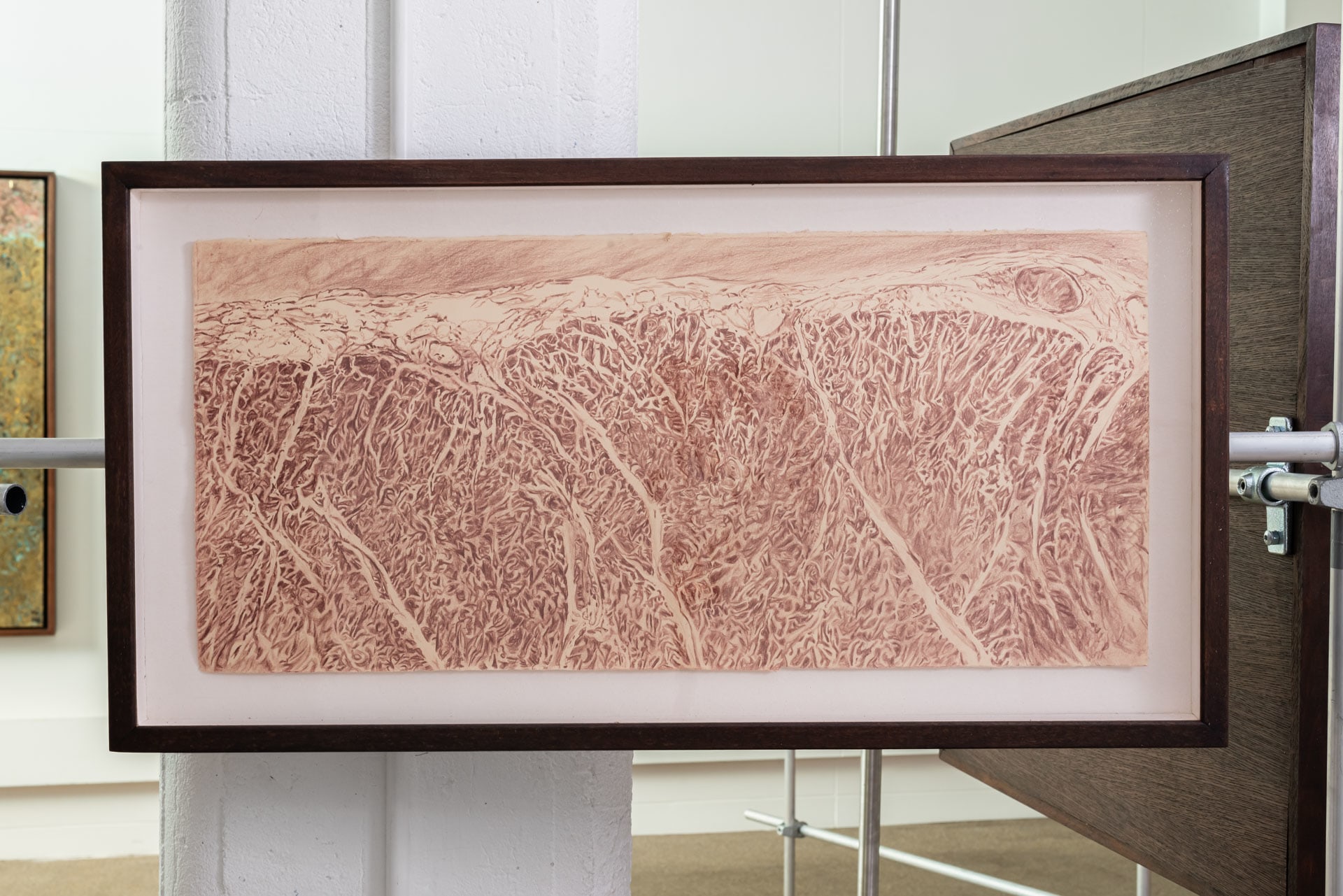 Cardiac Tissue (Floodplains)