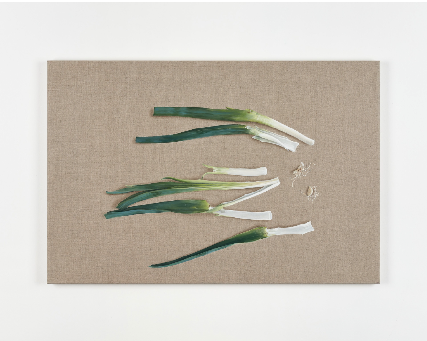 Leek