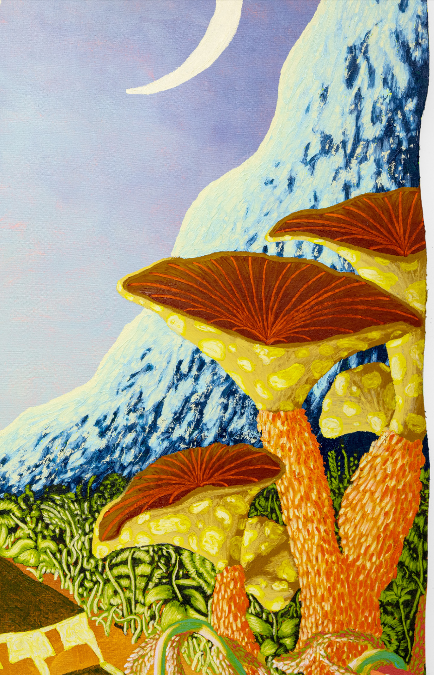 Mojave Beech