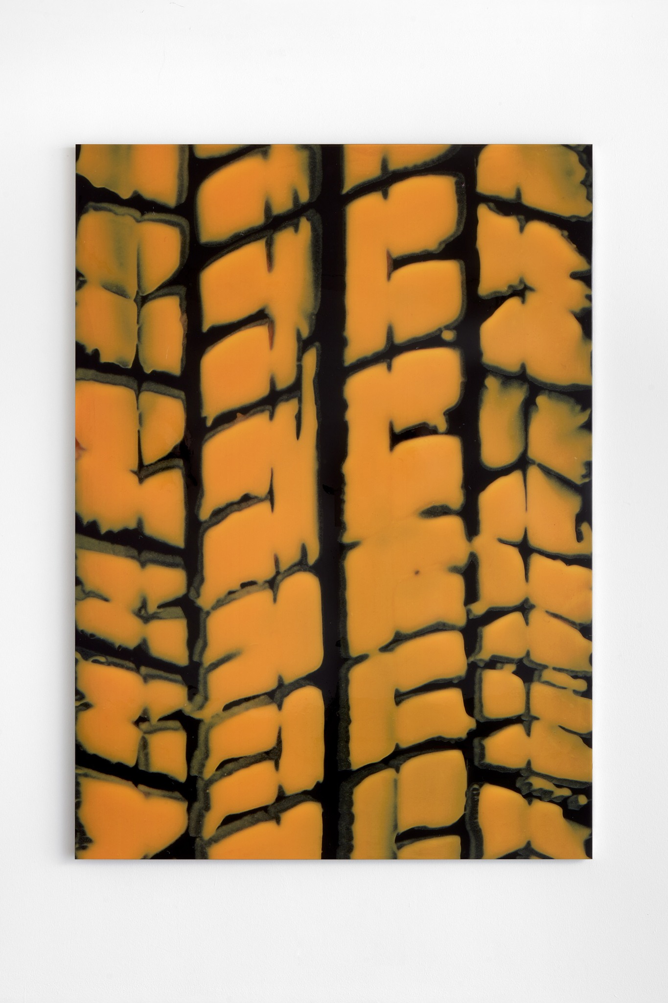 Imprint
