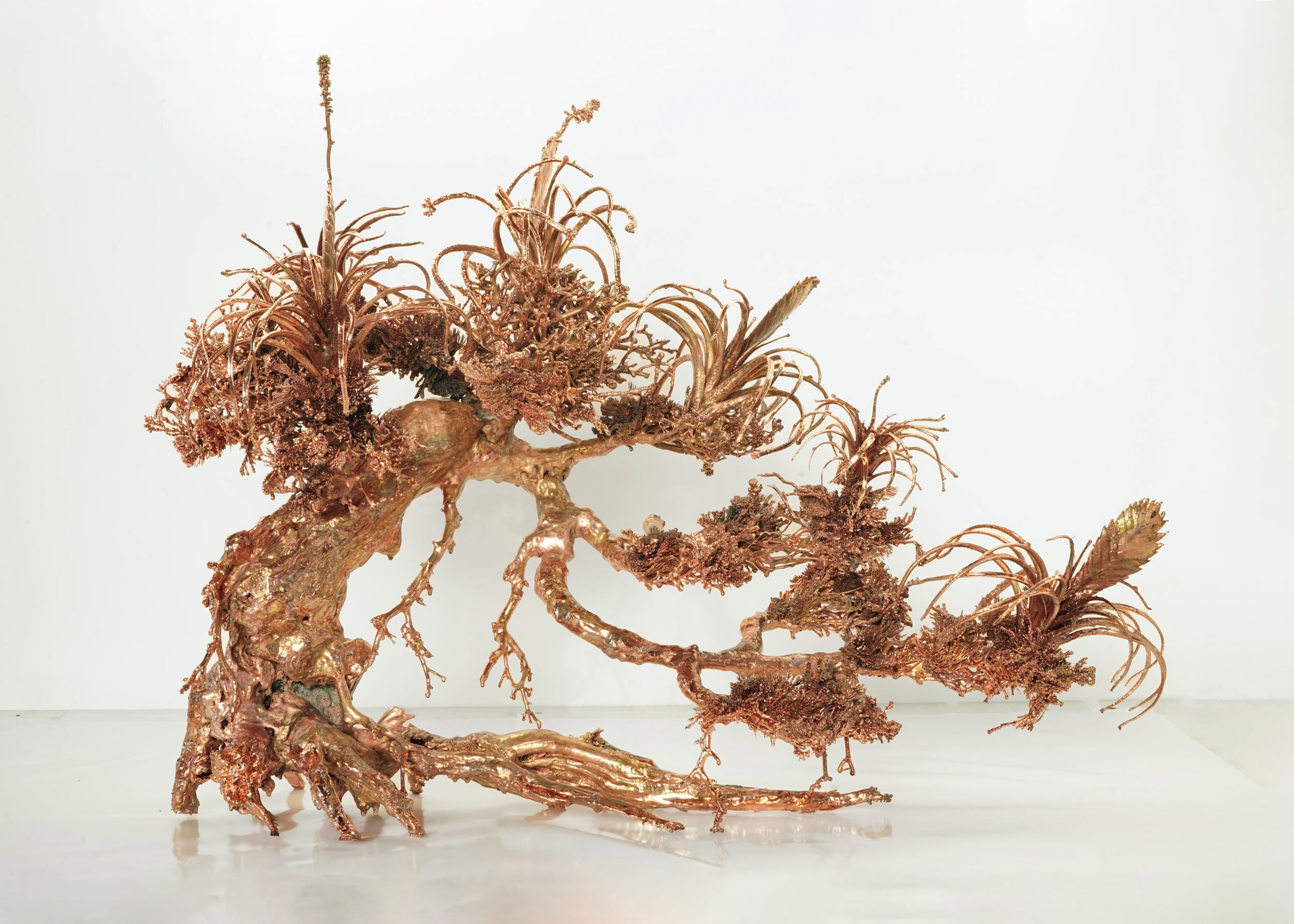 Dendrite Bonsai (Flowering Air Plants)