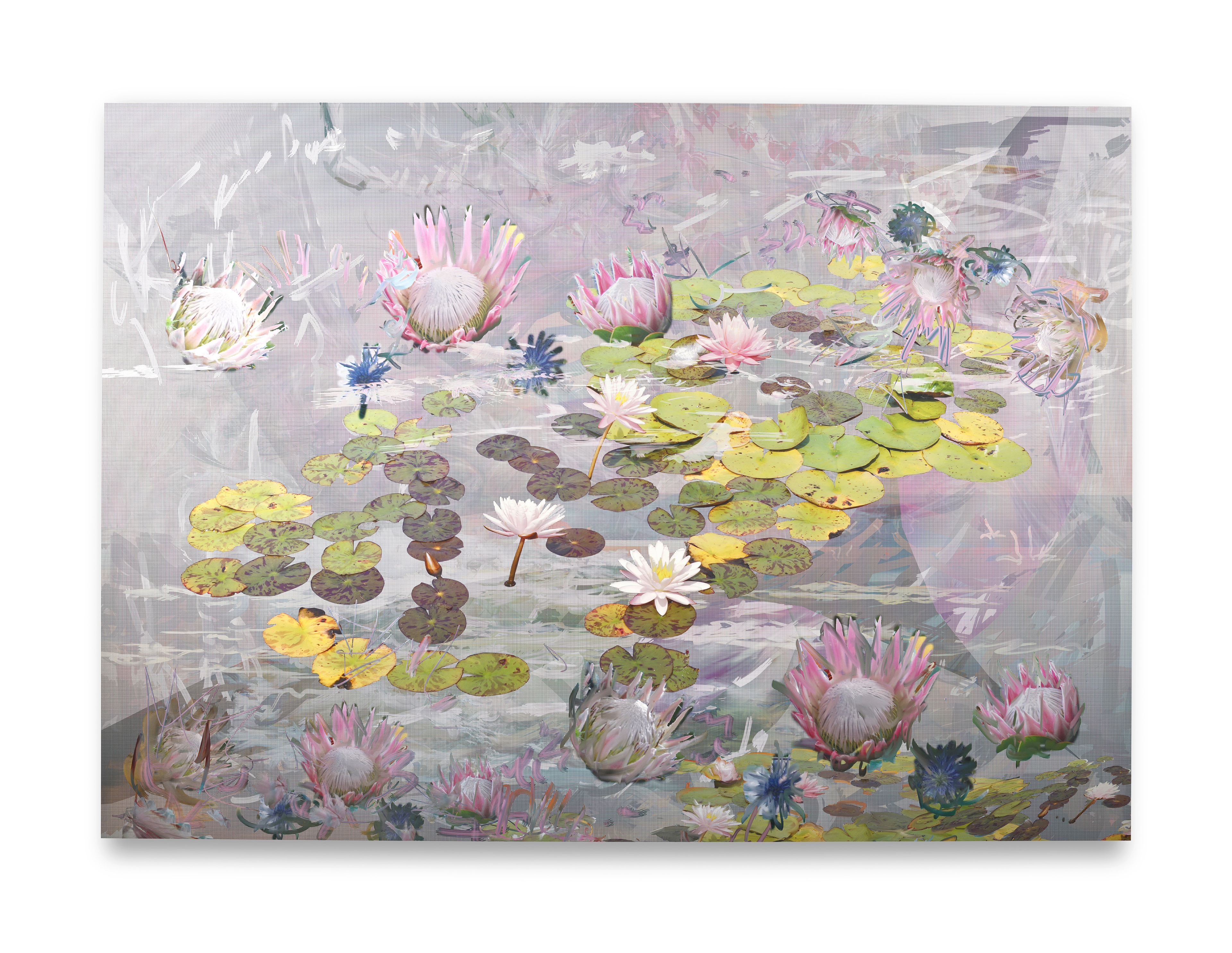 WATER LILIES_WEDDING SPEECHES What makes us human?