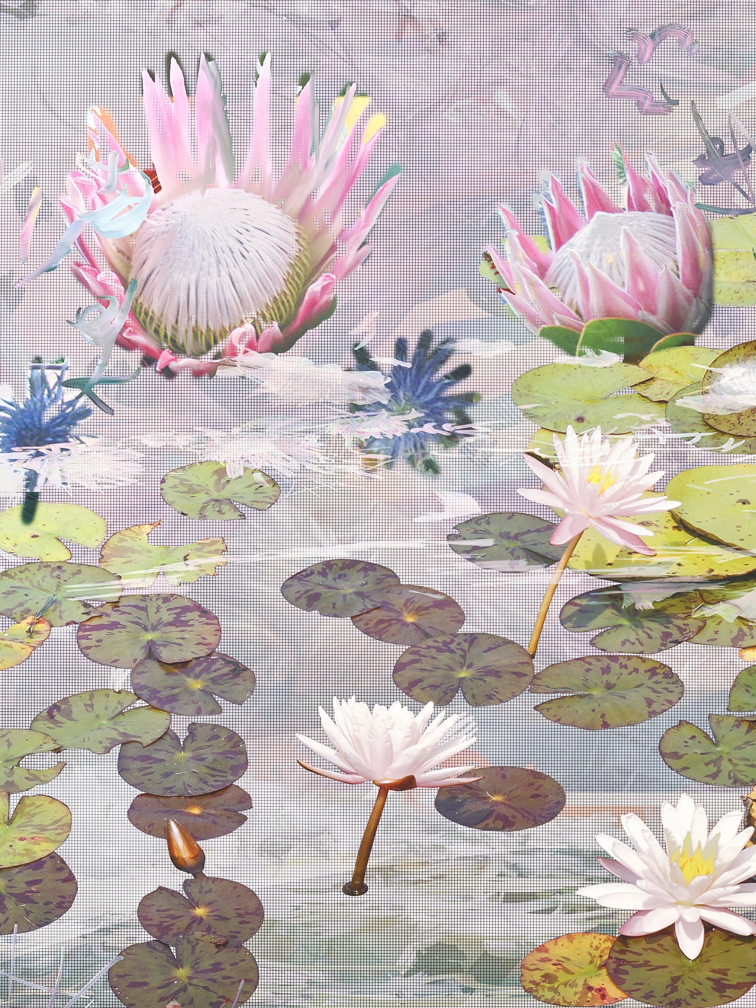 WATER LILIES_WEDDING SPEECHES What makes us human?
