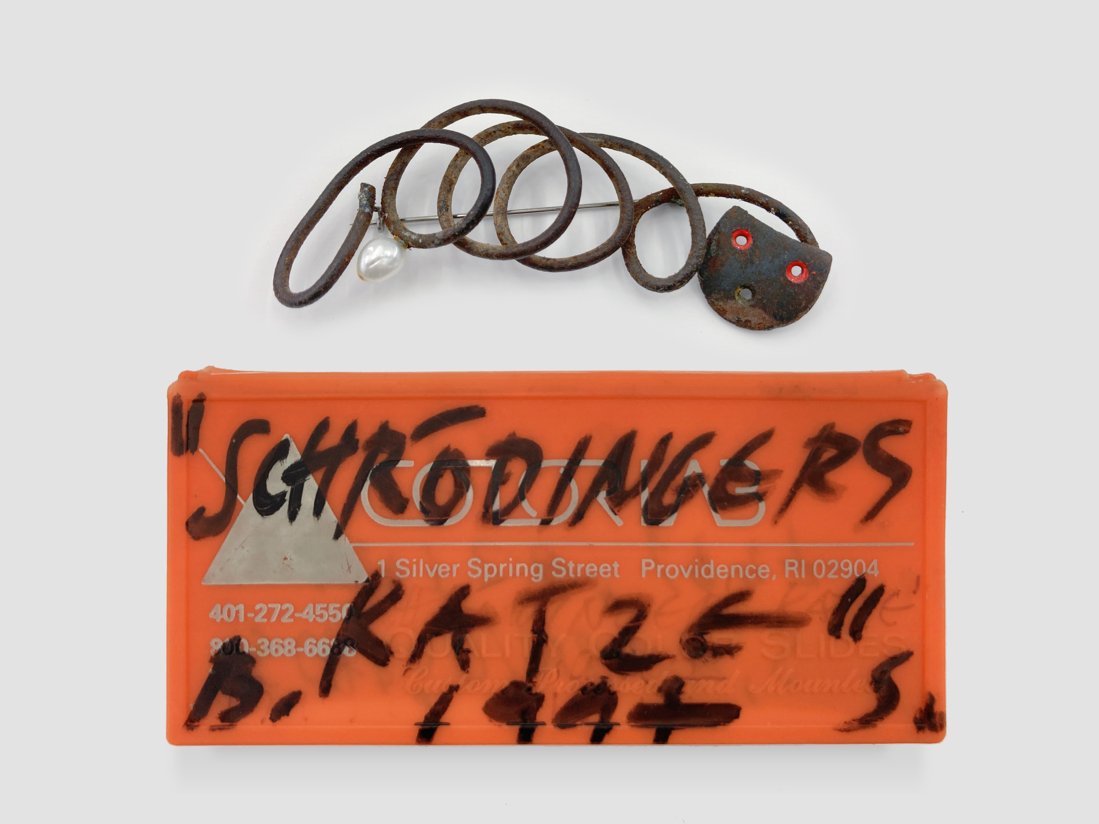 Schrödinger’s Cat