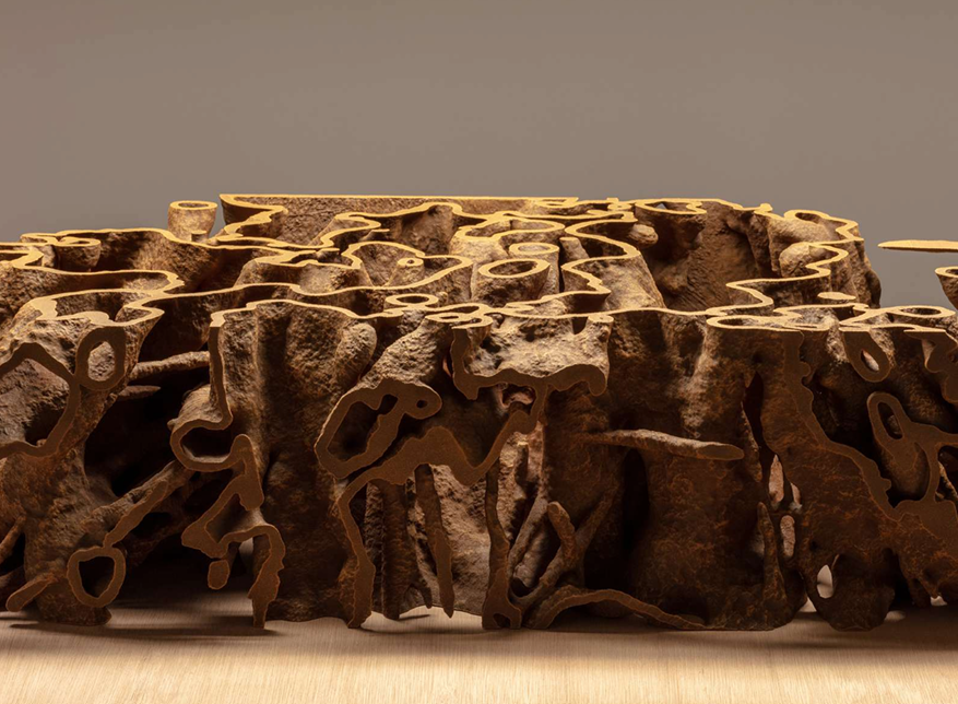 Termite Economies Phase 3 (Root Causes/Termite topology)