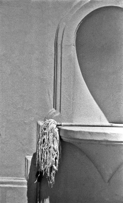 This diptych is inspired by American photographer, Gordon Parks. A photograph of Ella Watson standin...