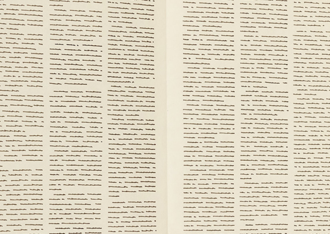 Trascrizioni, Doppelzeitungsseite VII