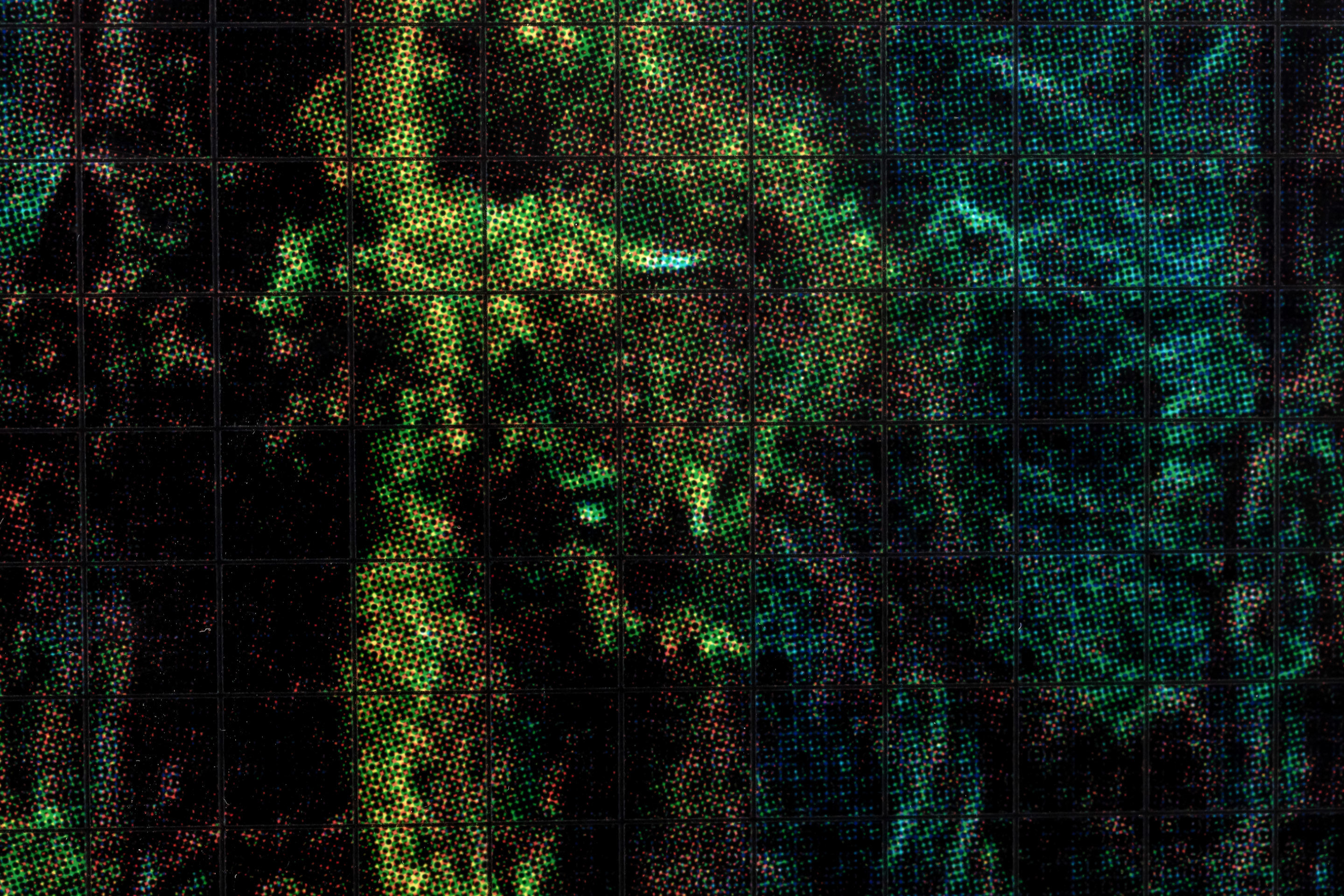 Untitled (Déterritorialisation X)
