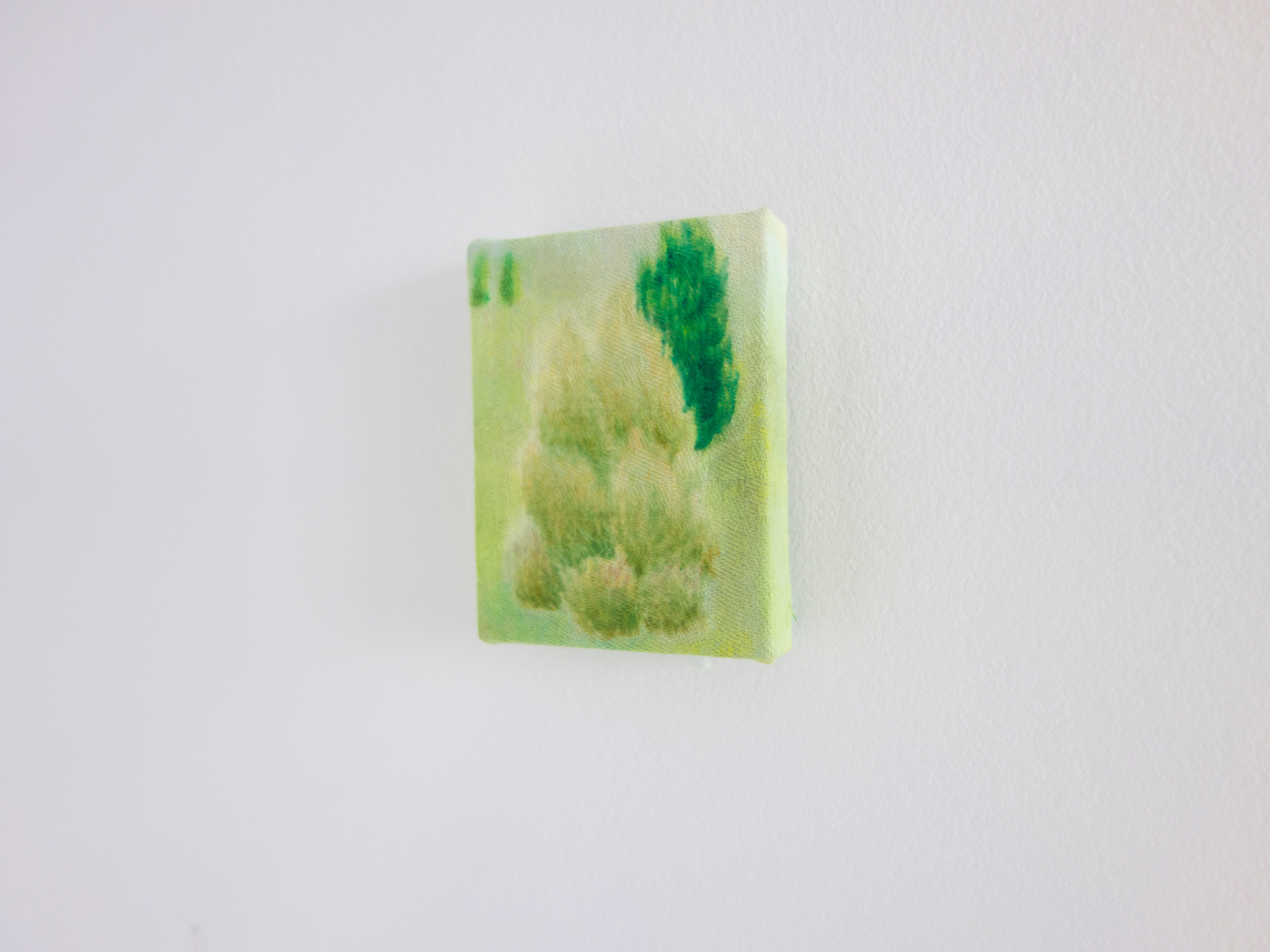 Truth claim (portrait of a bush 1)