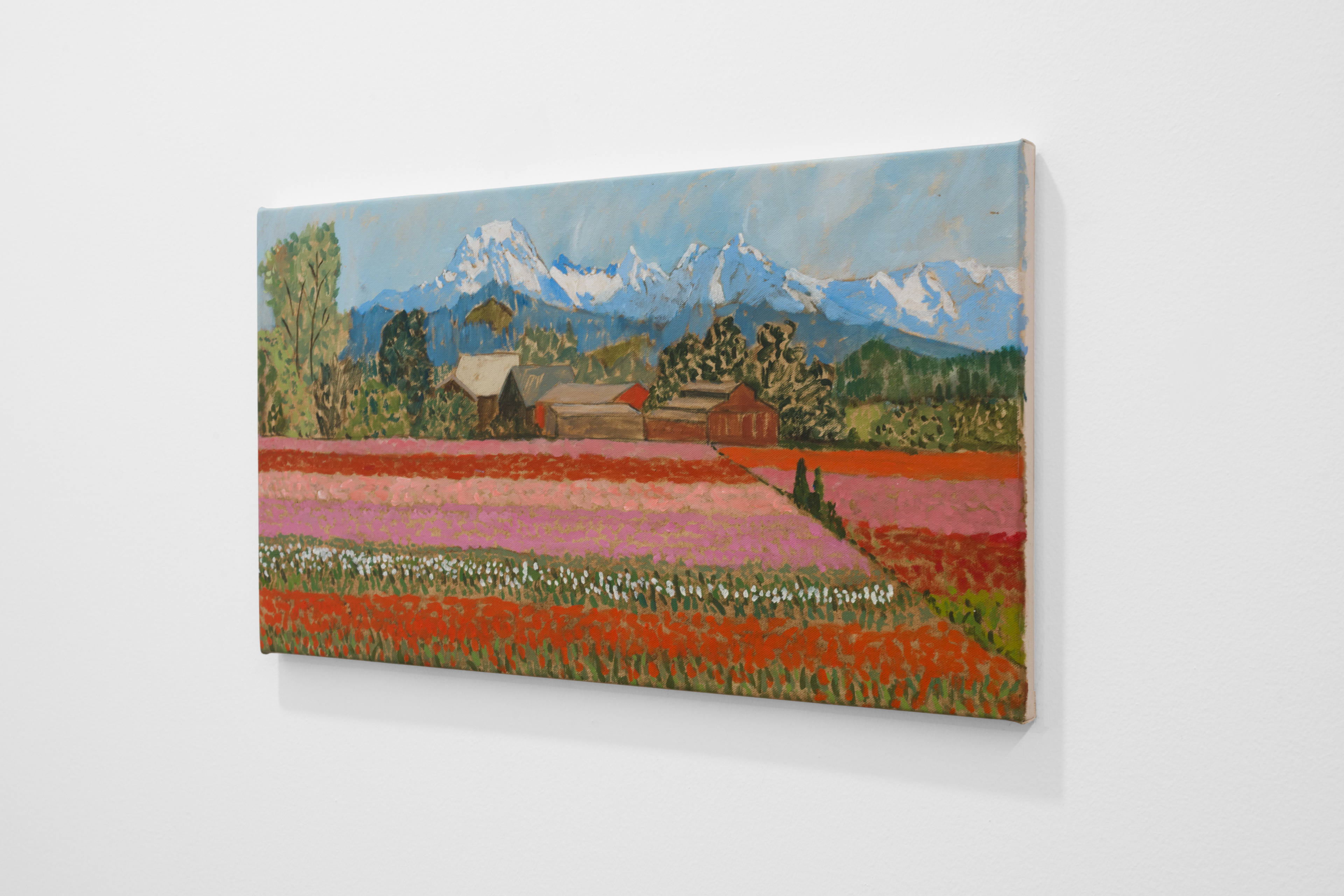 Study (Skagit Valley)