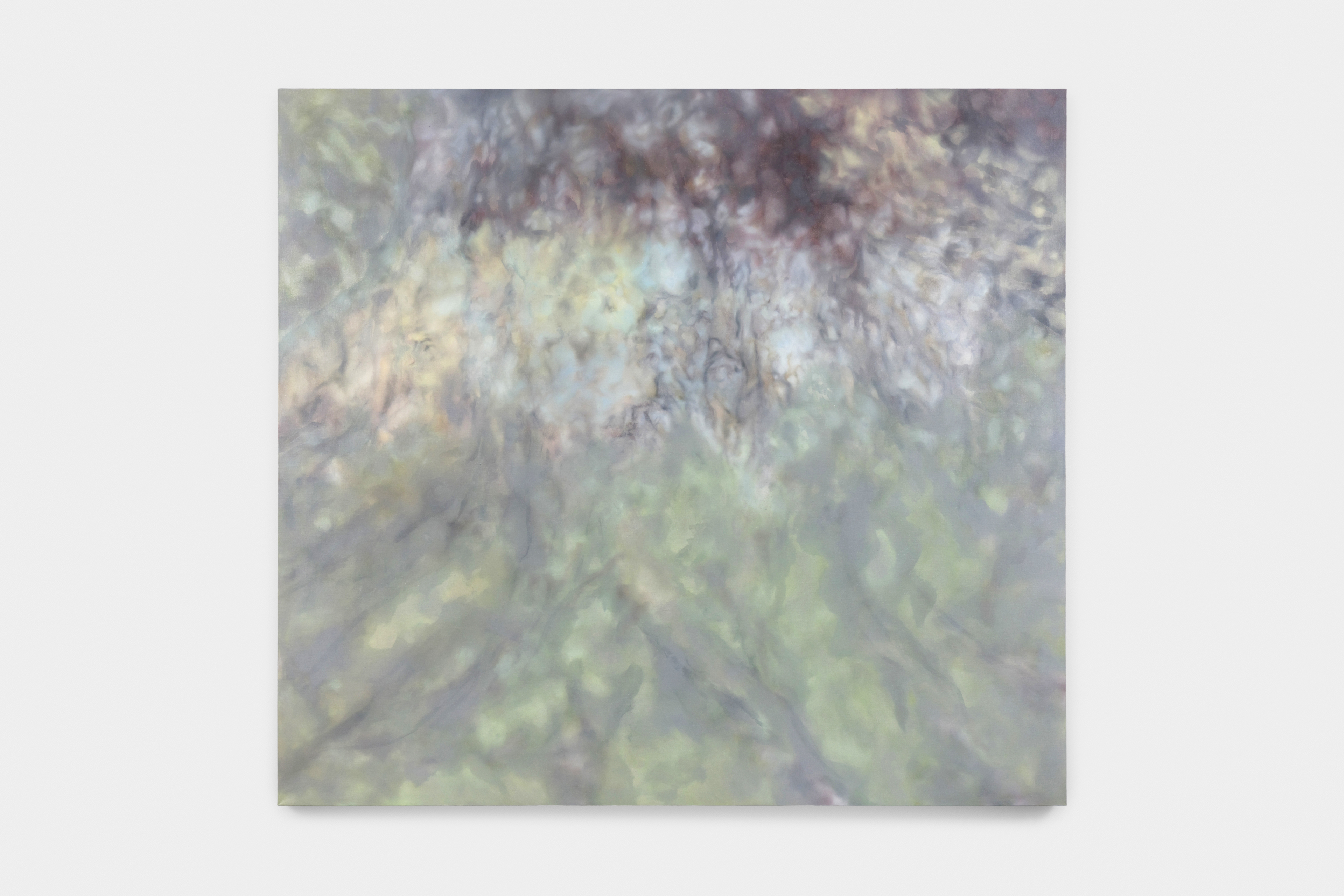 The forest floor