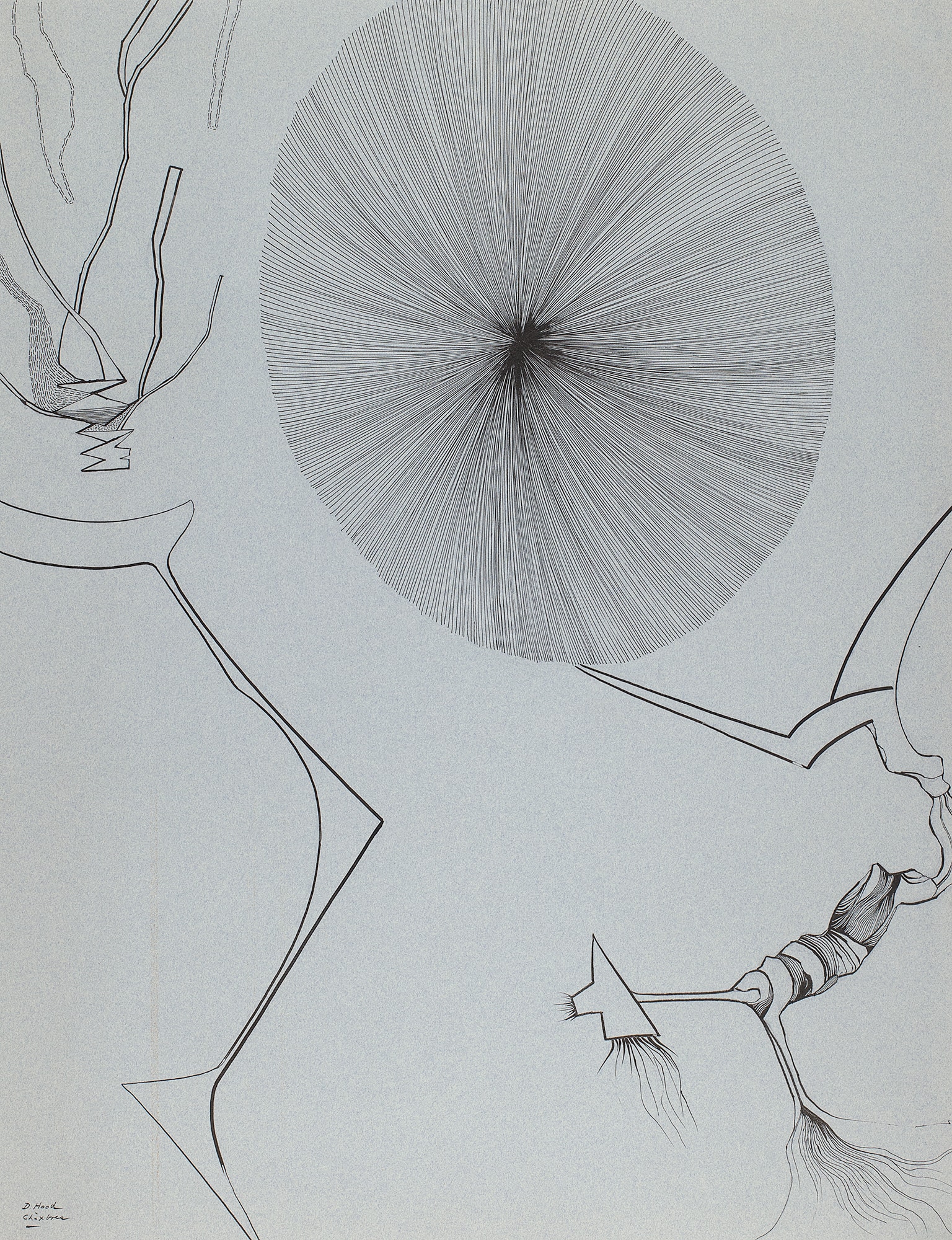 Metamorphoses of a Flower