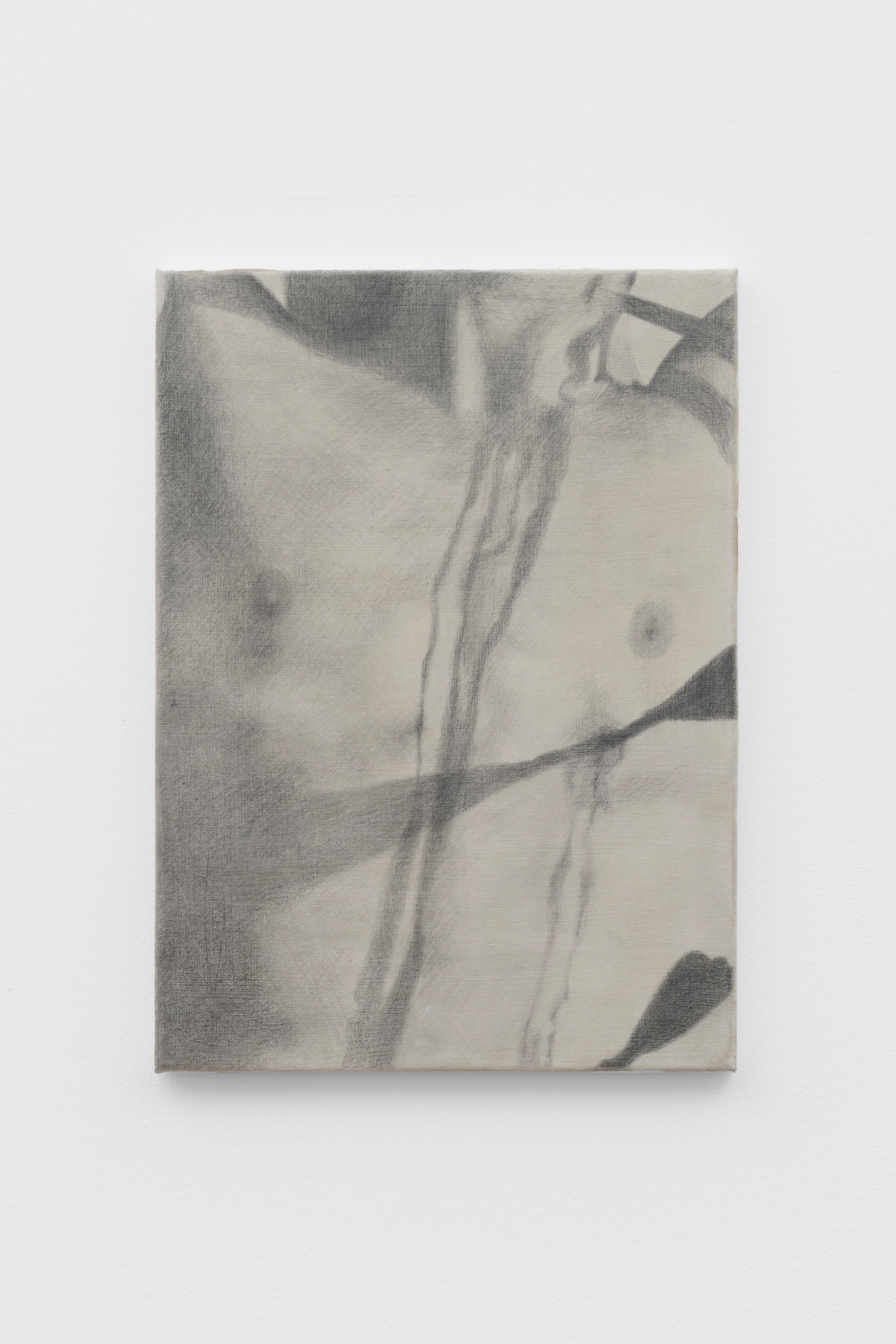 Untitled (Sebastian)