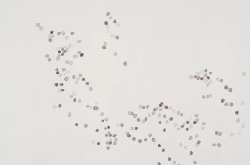 Crab Pellets