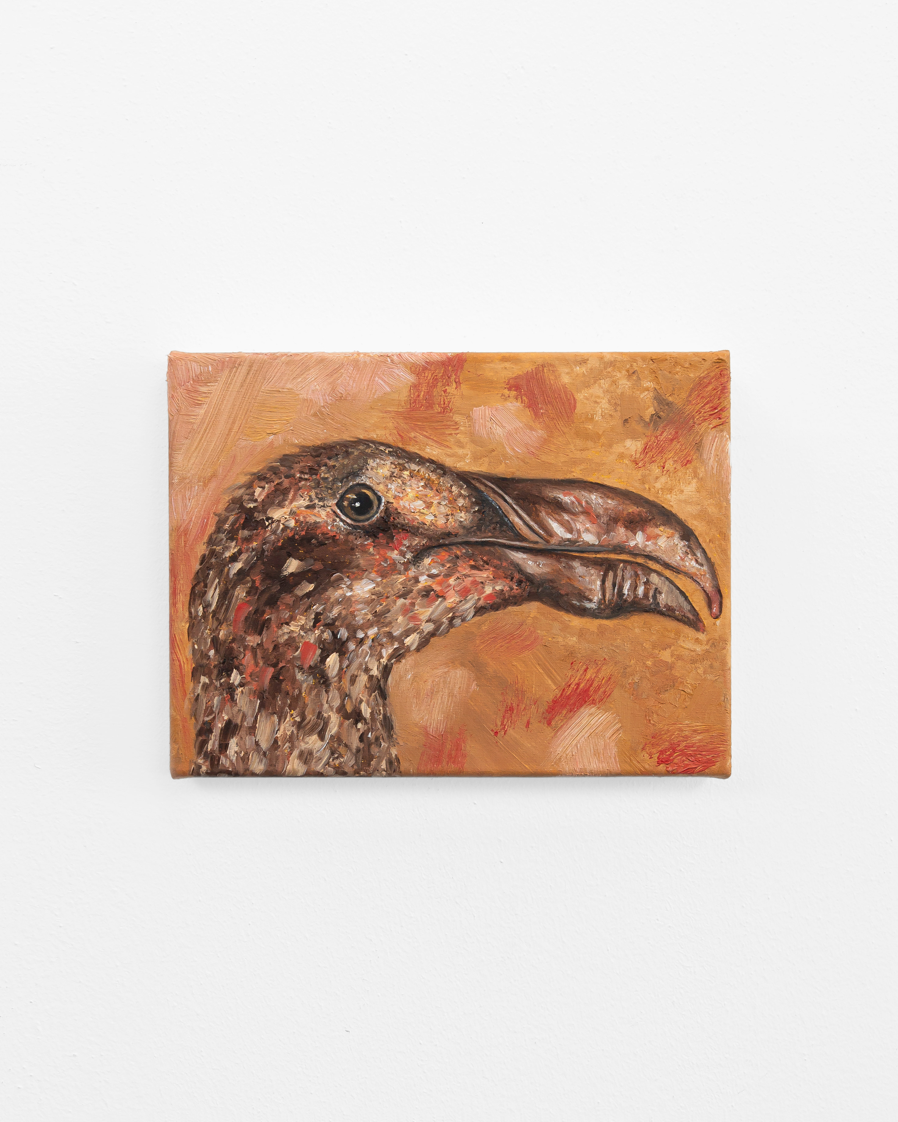 Great Auk