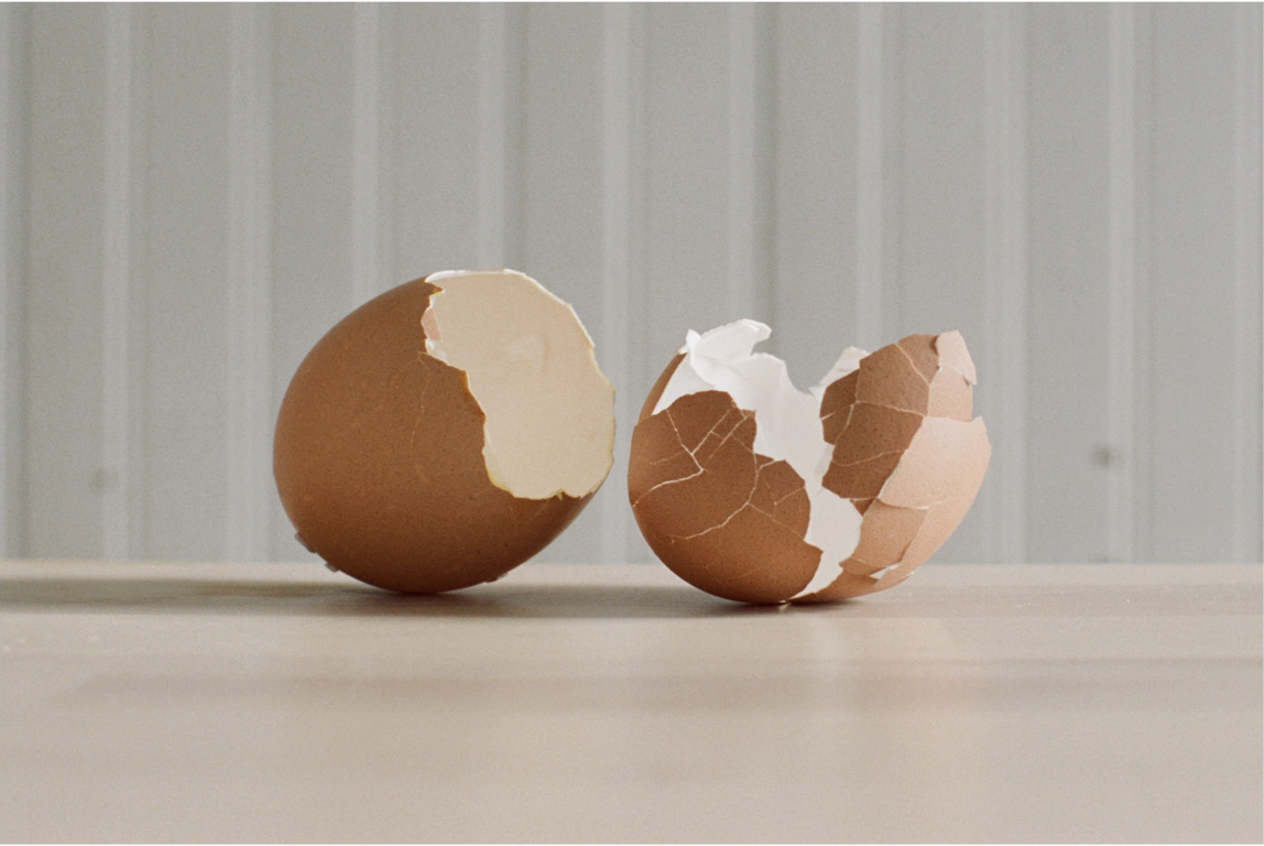 Two Eggshells