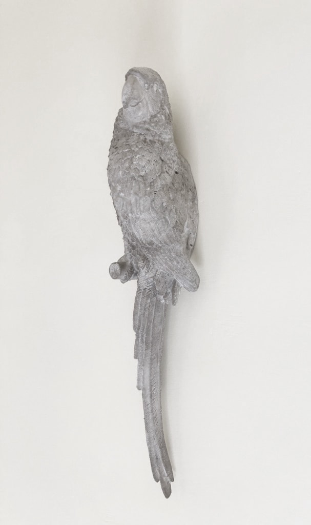 Sculpture Périmée (Perroquet 1)