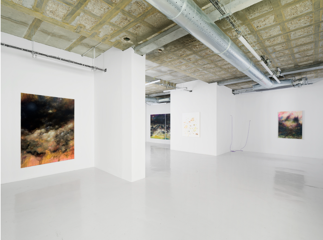 In Situ – Fabienne Leclerc