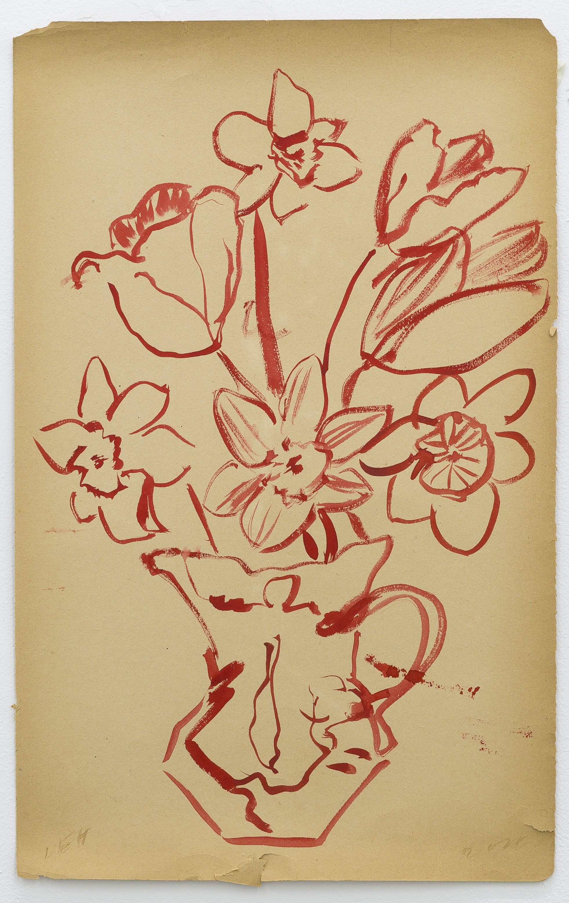 Tulips and Narcissi in a red jug