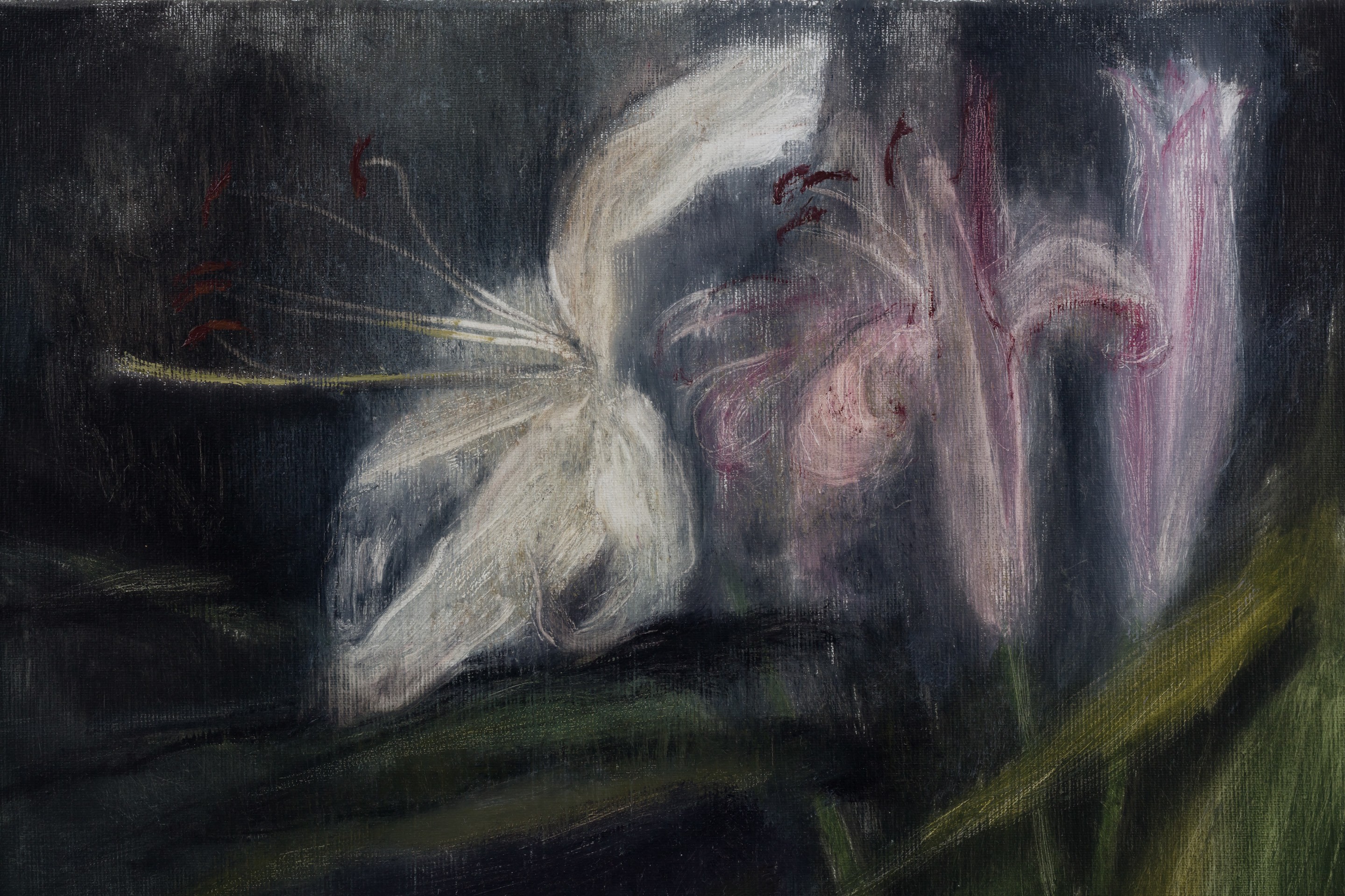 Untitled (I)