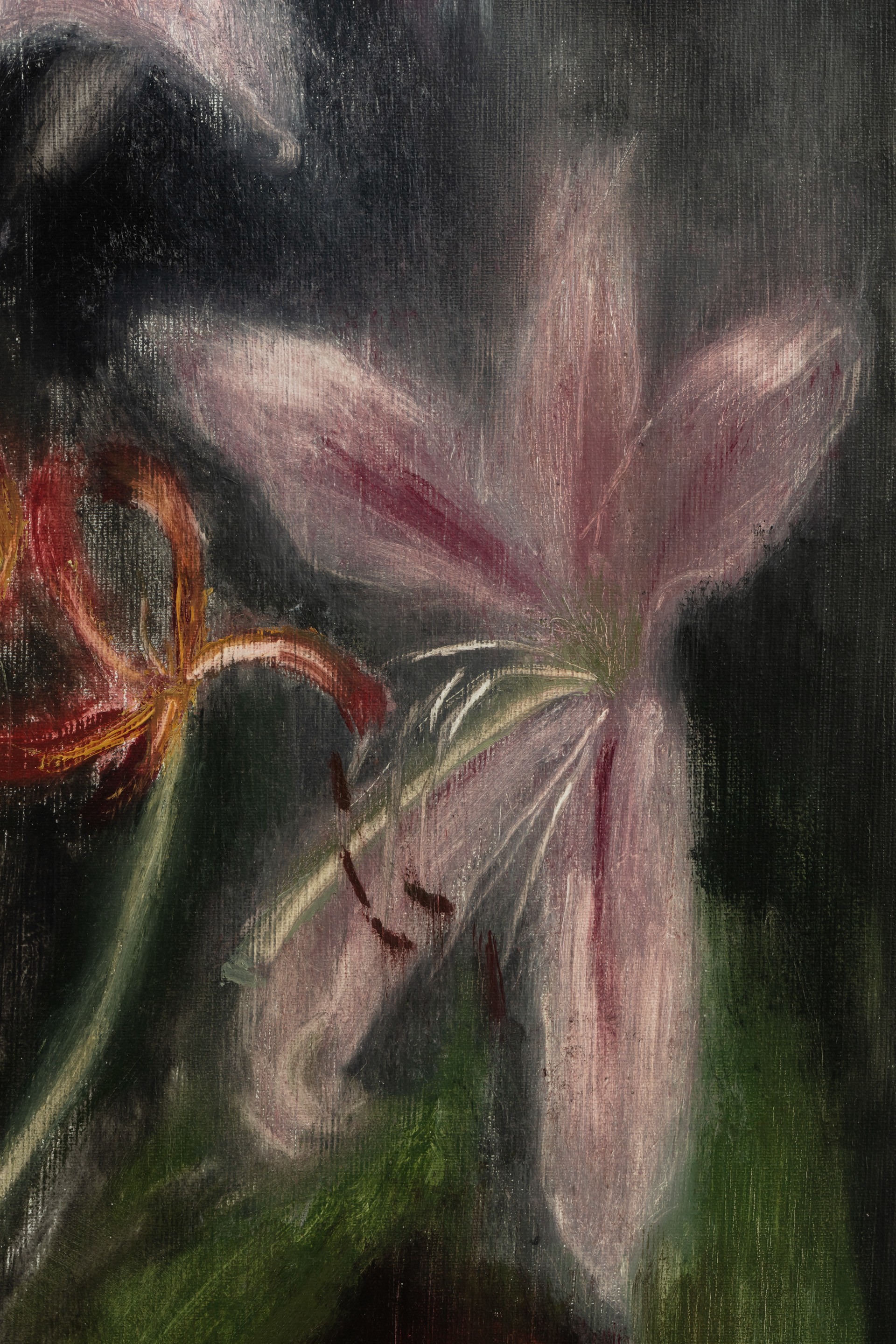 Untitled (II)