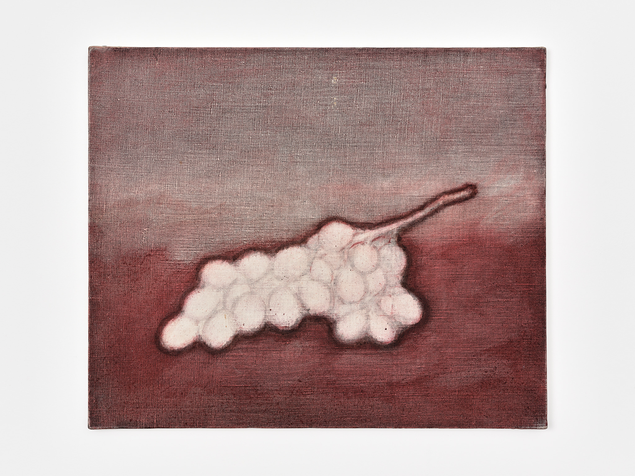 Grappe de raisin