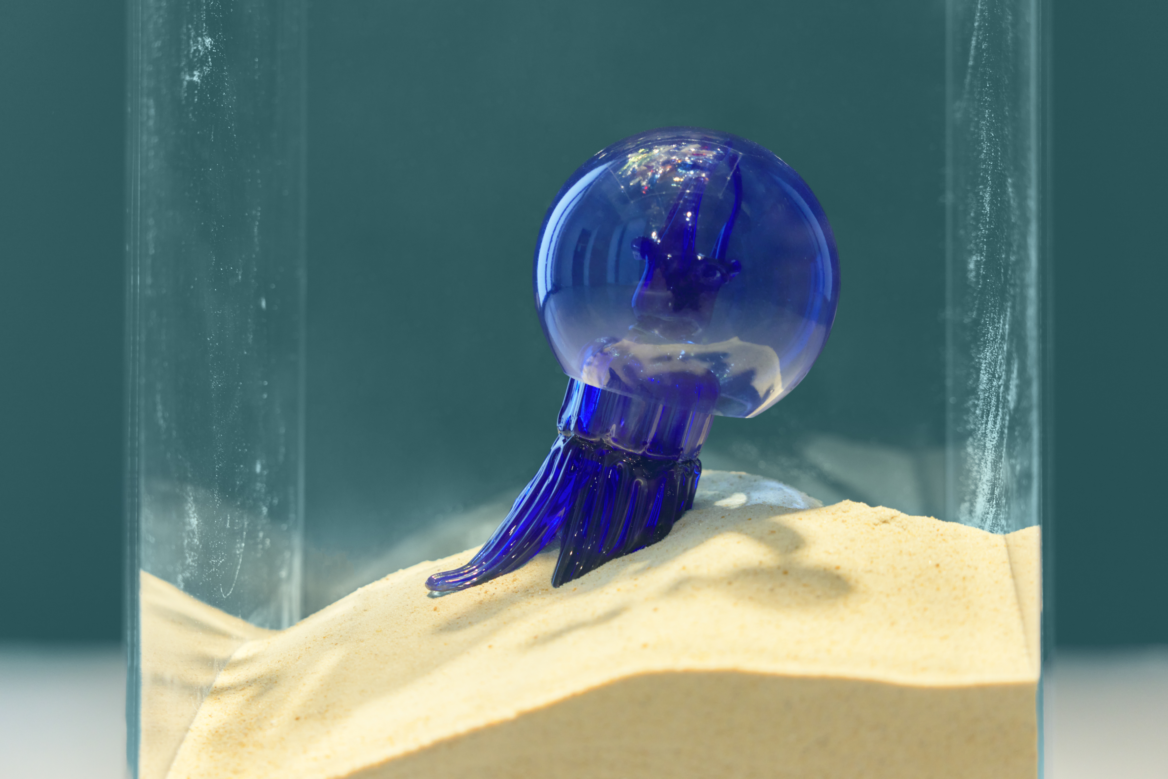 Blue Medusa